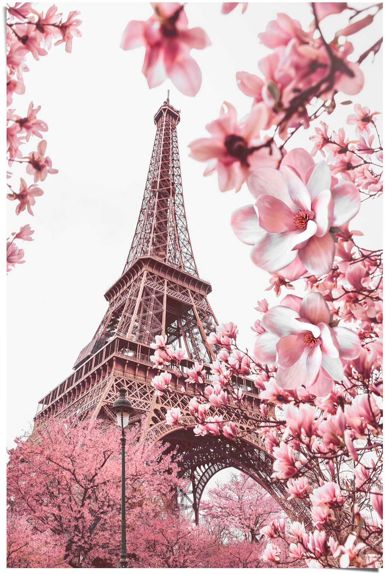 Image of Reinders Poster "Paris in Rosa"