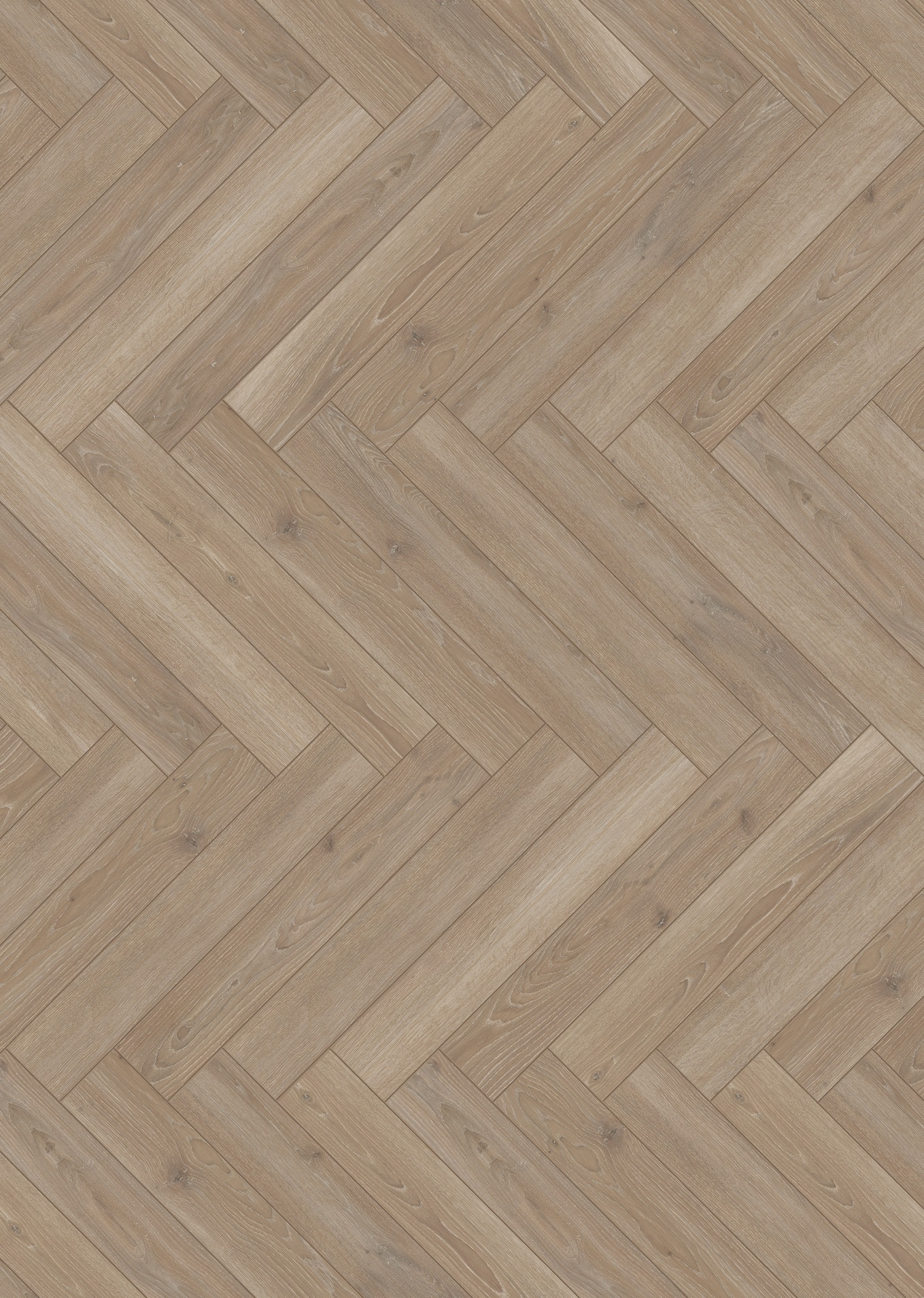 Image of PARADOR Laminat »Trendtime 3 - Eiche Skyline«, (Packung), spezielle Trägerplatte, 858 x 143 mm, Stärke: 8 mm bei Ackermann Versand Schweiz
