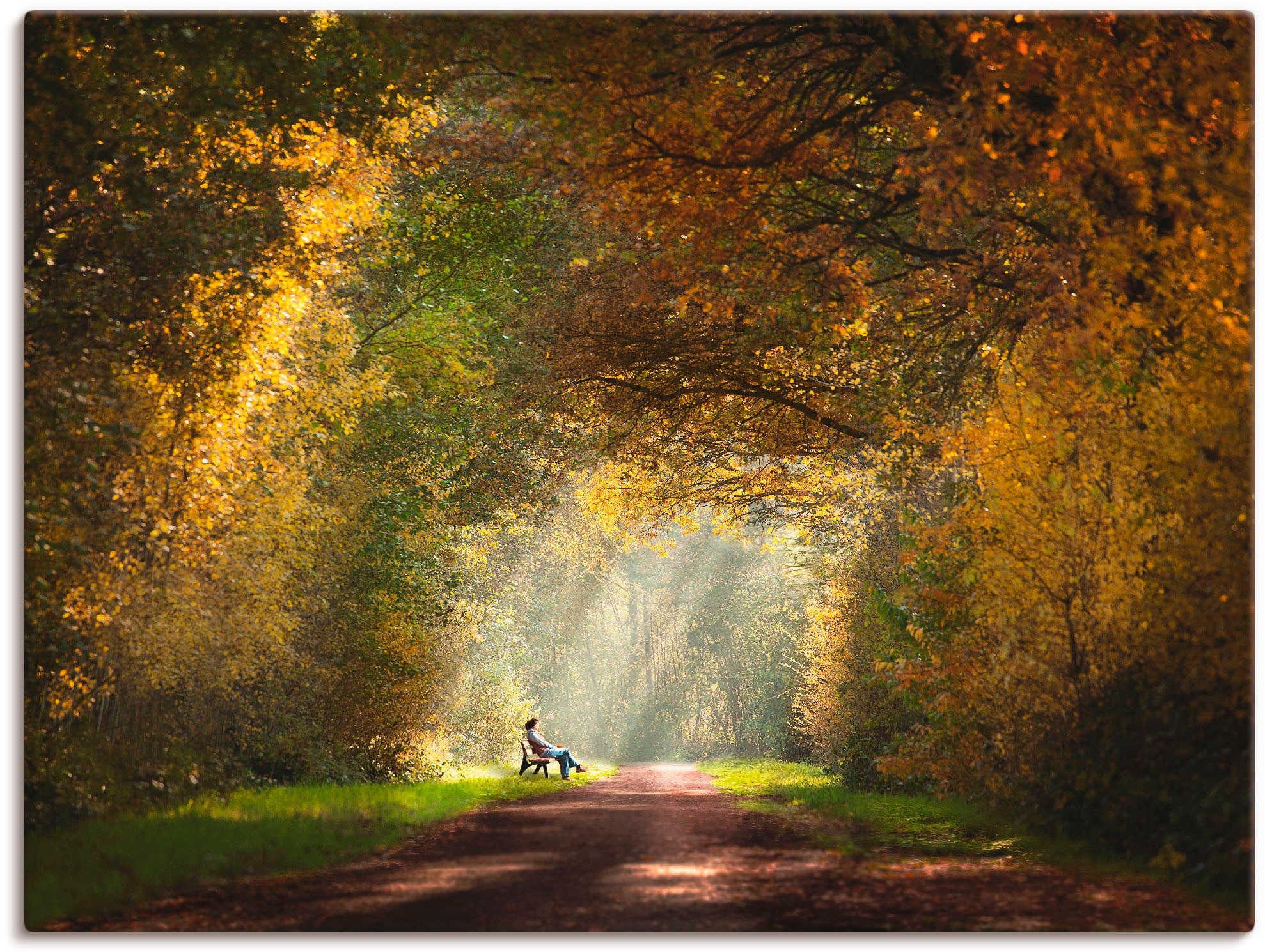 Image of Artland Leinwandbild "Licht am Ende des Tunnels..." Wald 1 Stk. tlg. auf Holzrahmen gespannt