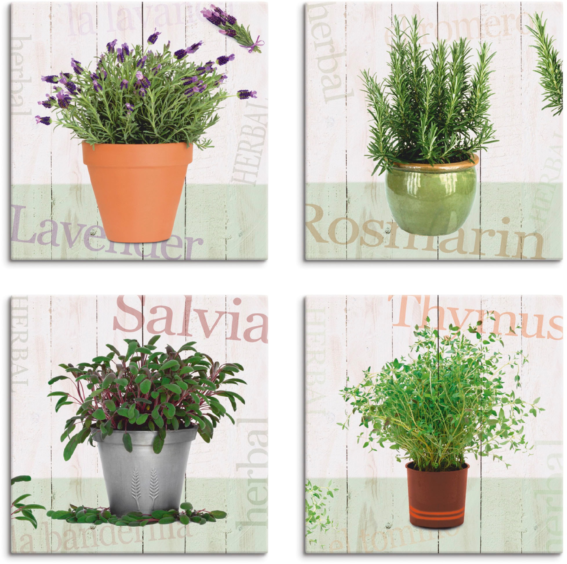 Image of Artland Leinwandbild "Lavendel, Rosmarin, Salbei, Thymian" Pflanzen 4 Stk. tlg. 4er Set, verschiedene Grössen