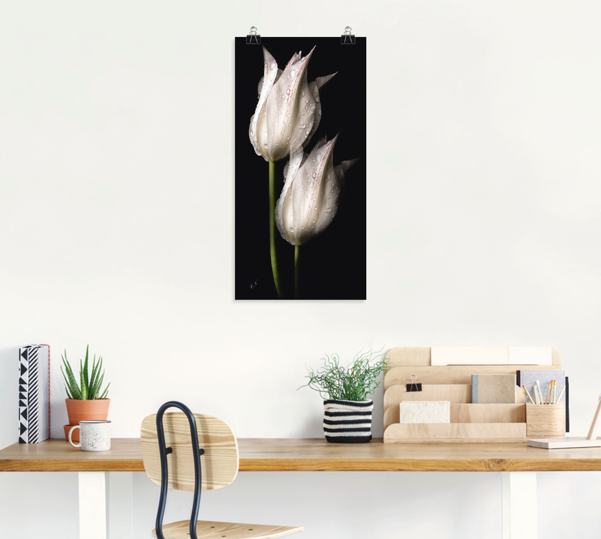 Artland Wandbild »Weisse Tulpen in der Nacht«, Blumenbilder, (1 St.), als Alubild, Outdoorbild, Leinwandbild, Poster, Wandaufkleber