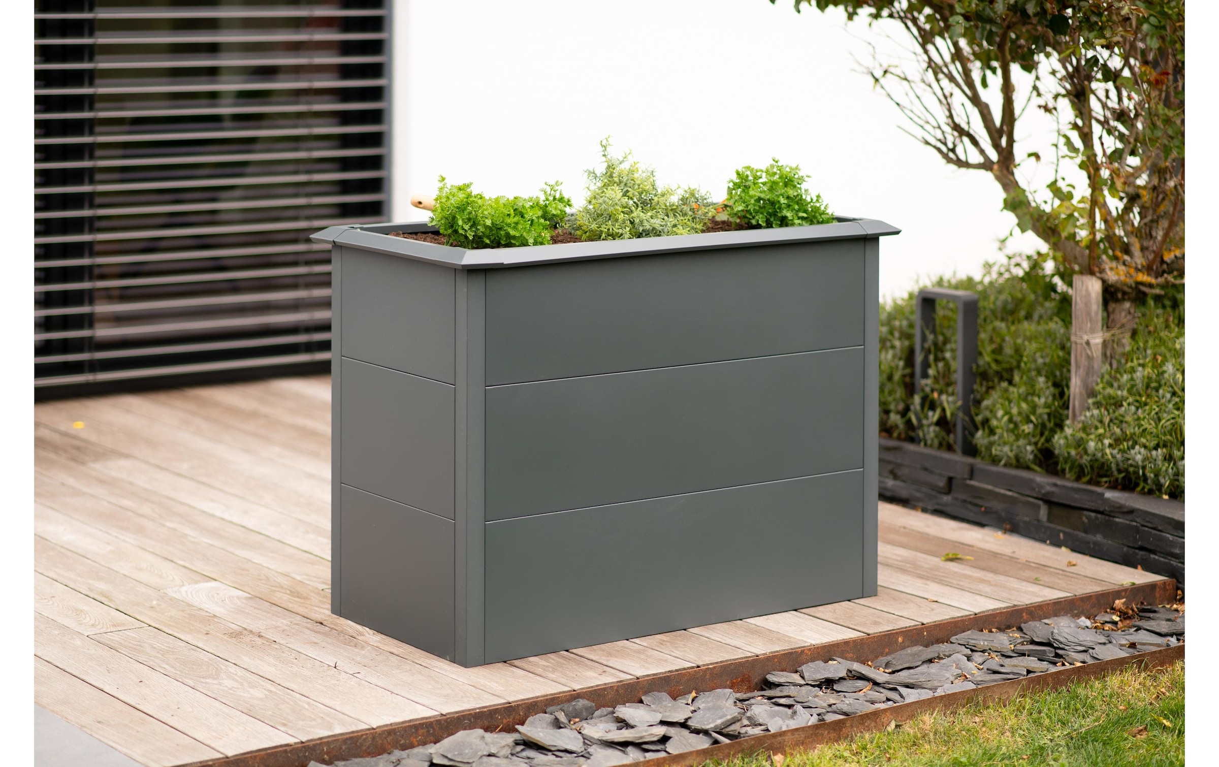 WESTMANN Hochbeet »Metall Hochbeet Primus M« Anthrazit, 100x50x77 cm