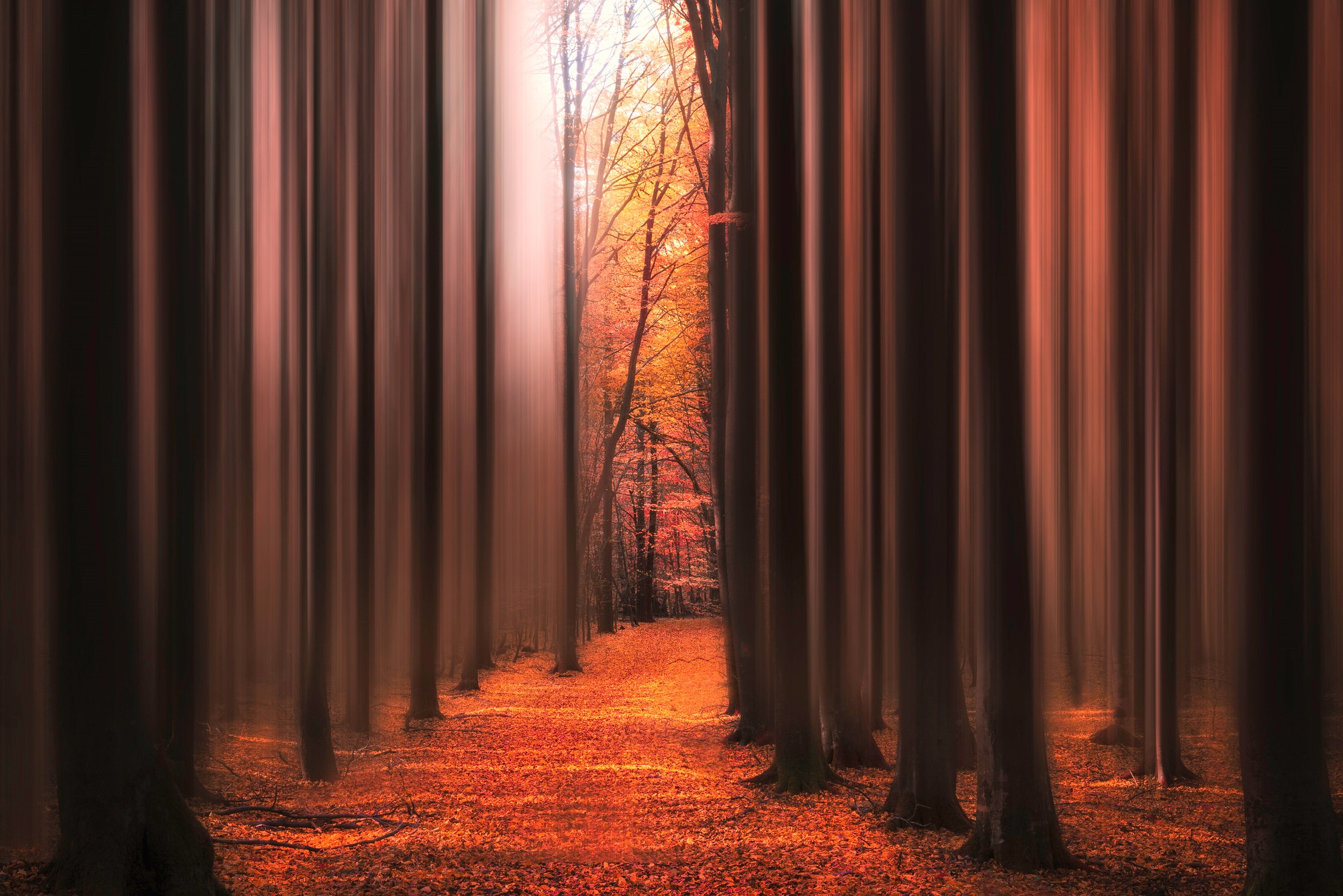 Papermoon Papier peint photo »Photo-Art  CHRISTIAN LINDSTEN, WECKE MICH NICHT AUF«