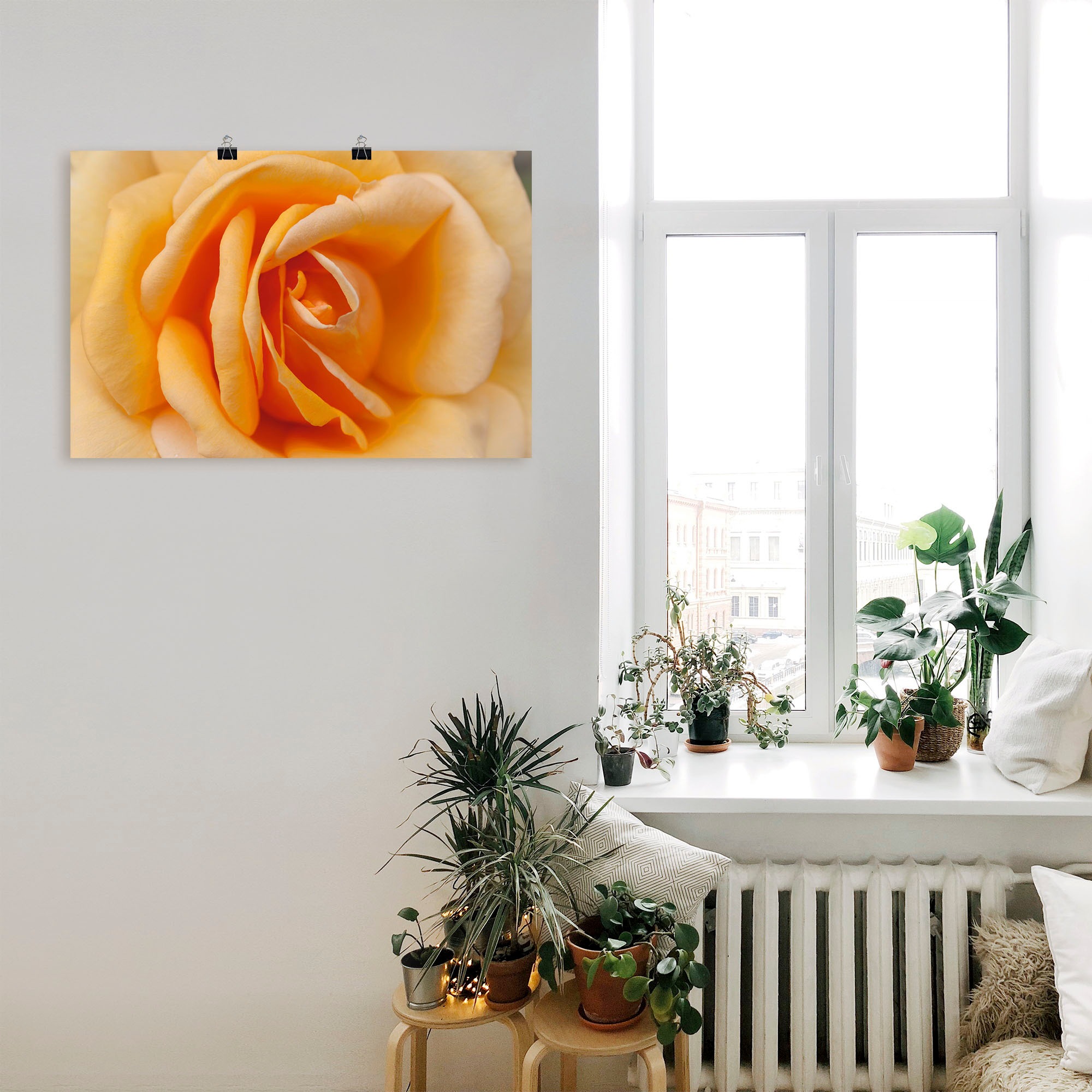 Wandbild als in kaufen Artland oder in Rose Blumenbilder, »Zarte Leinwandbild, Wandaufkleber Orange«, Poster Grössen Alubild, versch. günstig (1 St.),