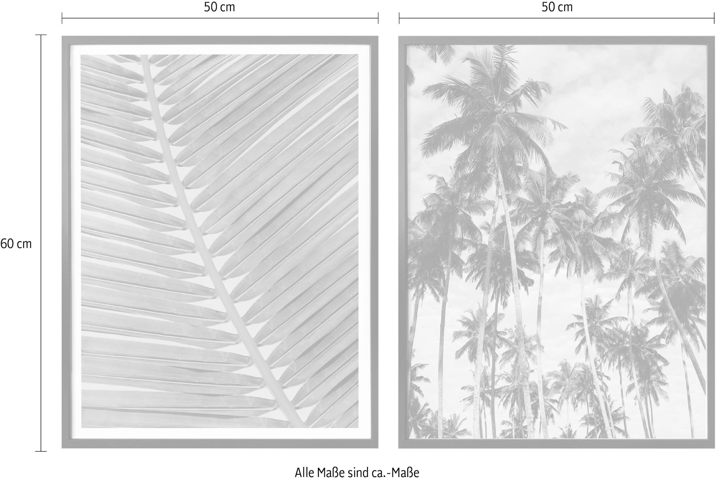 2 Poster, Wall-Art Wandposter »Palmenblätter«, reduziert! Wandbild, Rahmen, mit (Set, St.), Bild, Poster