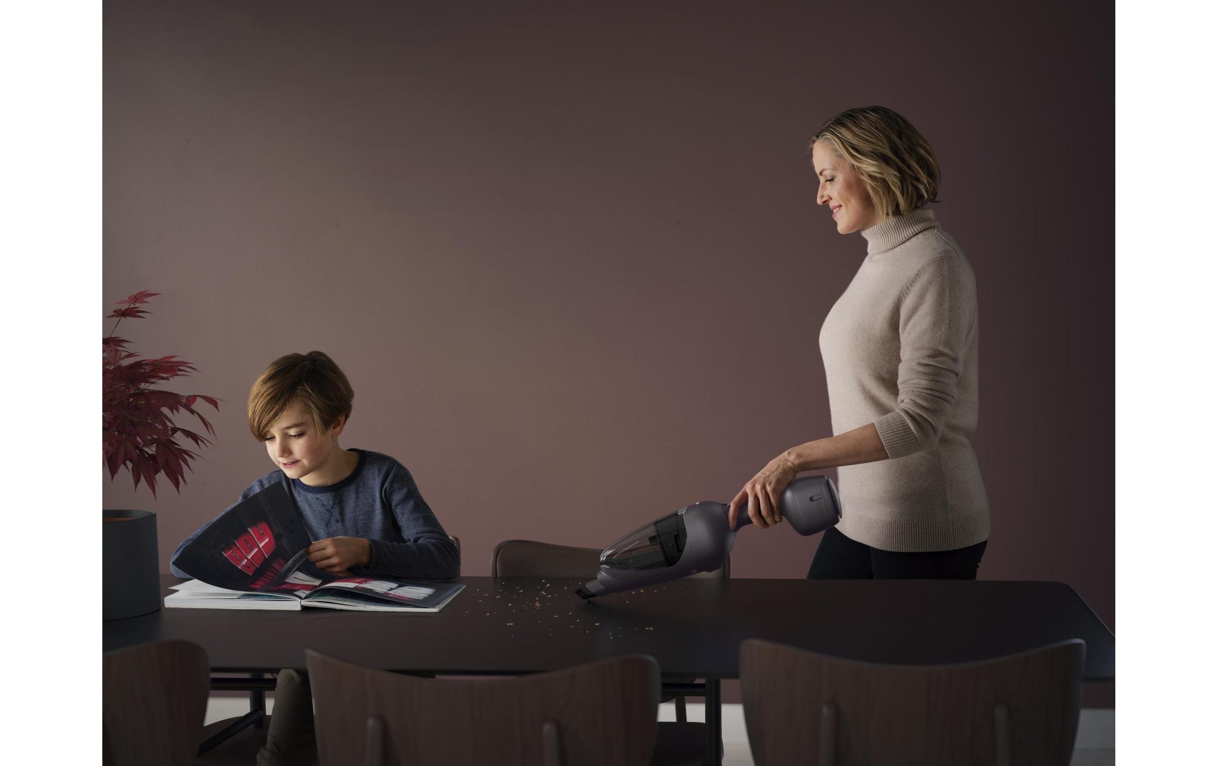 Electrolux Akku-Hand-und Stielstaubsauger »Electrolux«