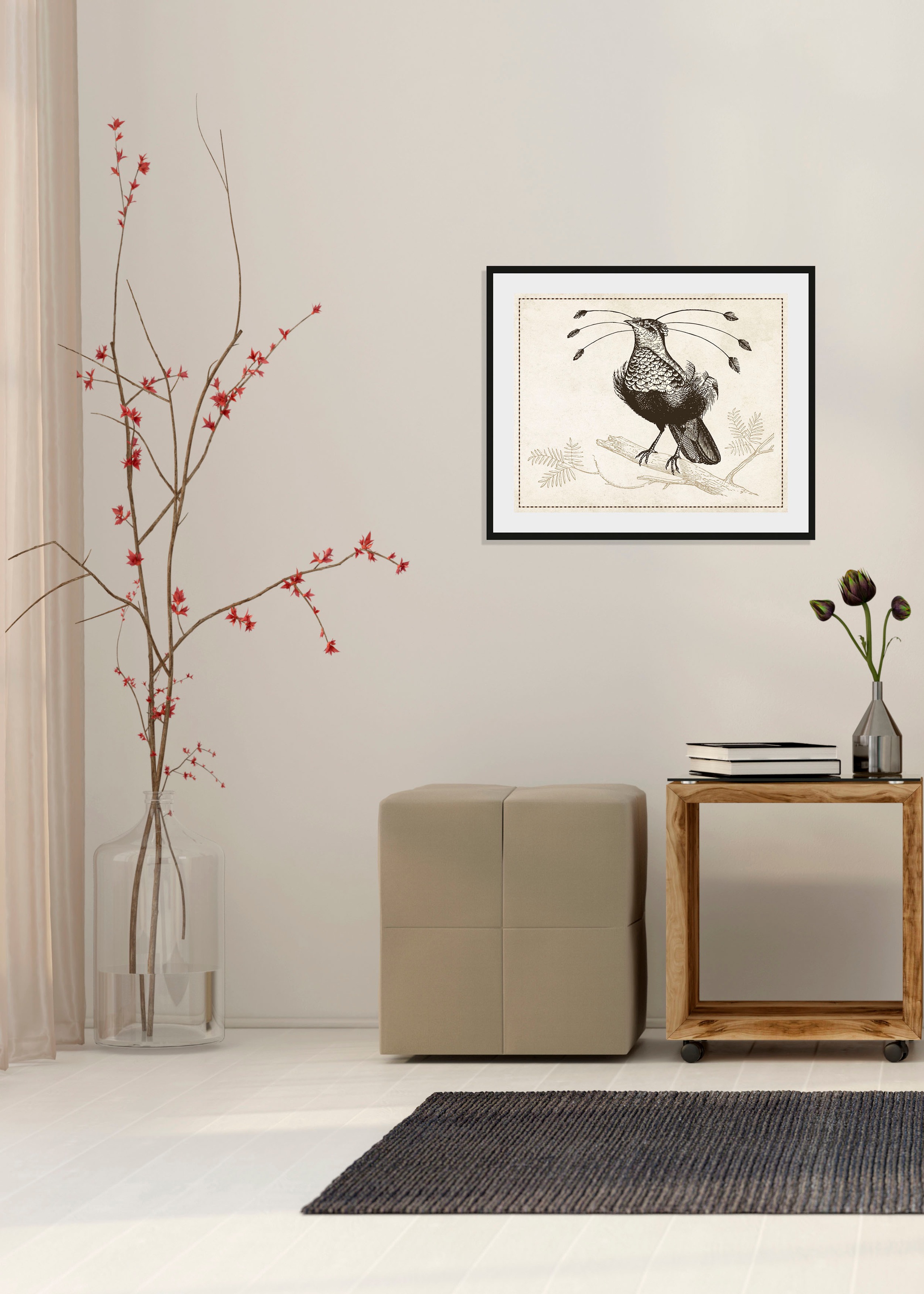 Image of queence Bild "Ann-Sophie" Kunst Vogelbilder Vögel historische Ereignisse 1 Stk. tlg. HD Premium Poster-Druck inkl. Holzrahmen
