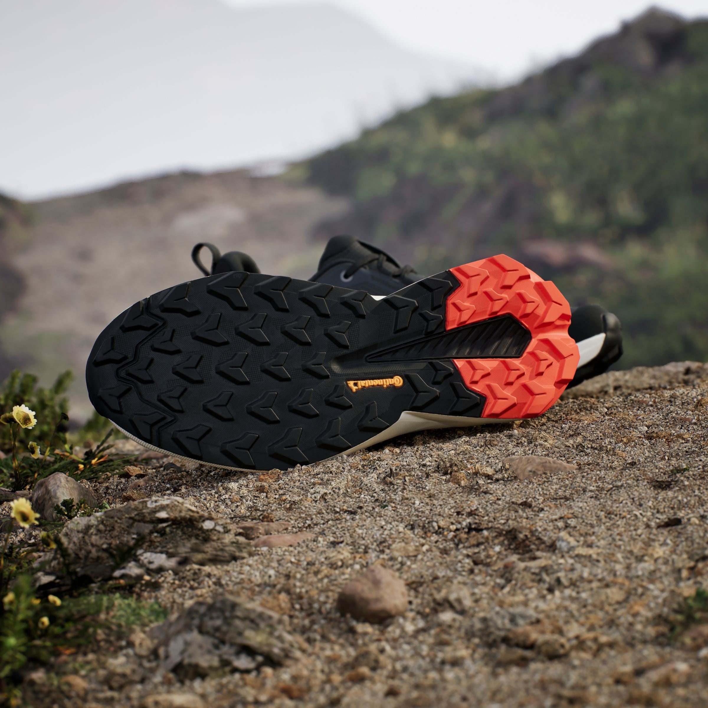 adidas TERREX Wanderschuh »TERREX TRAILMAKER 2 GORE-TEX«, wasserdicht