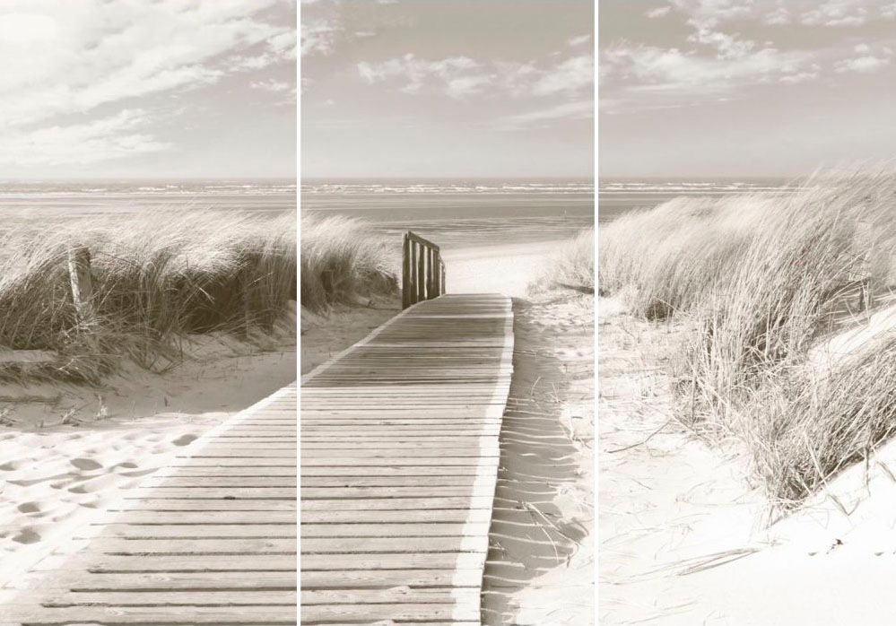 Image of Reinders! Wandbild »Dünen Weg zum Meer - Wandbild«, (Set) bei Ackermann Versand Schweiz