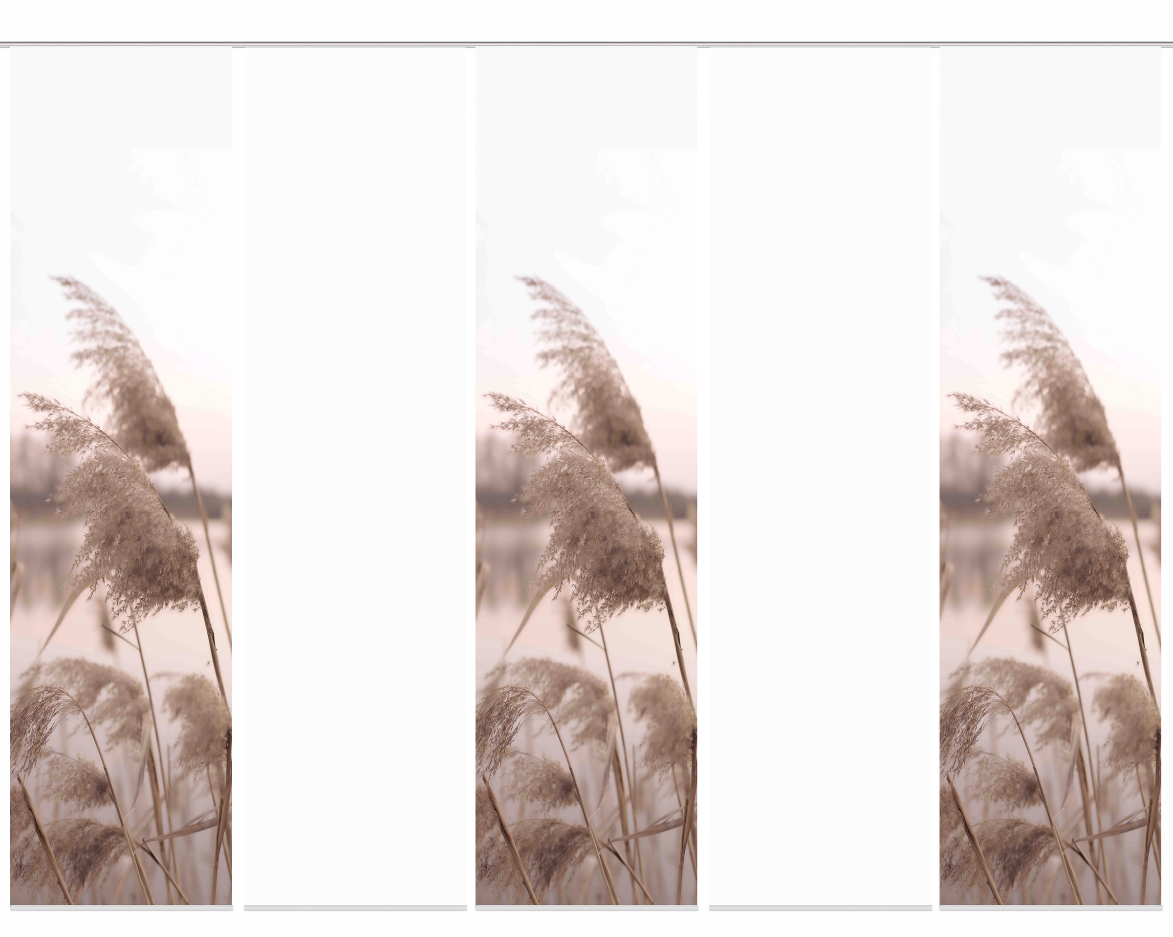 Image of HOME WOHNIDEEN Schiebegardine »TRAWY«, (5 St.), Schiebevorhang Digi 5er Set TRAWY bei Ackermann Versand Schweiz