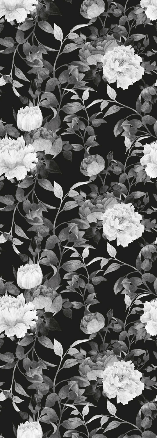Image of queence Vinyltapete "Alya" Motiv bedruckt botanisch floral gemustert natürlich glatt 90x250cm, selbstklebend, kinderleichte Anbringung, Sticker