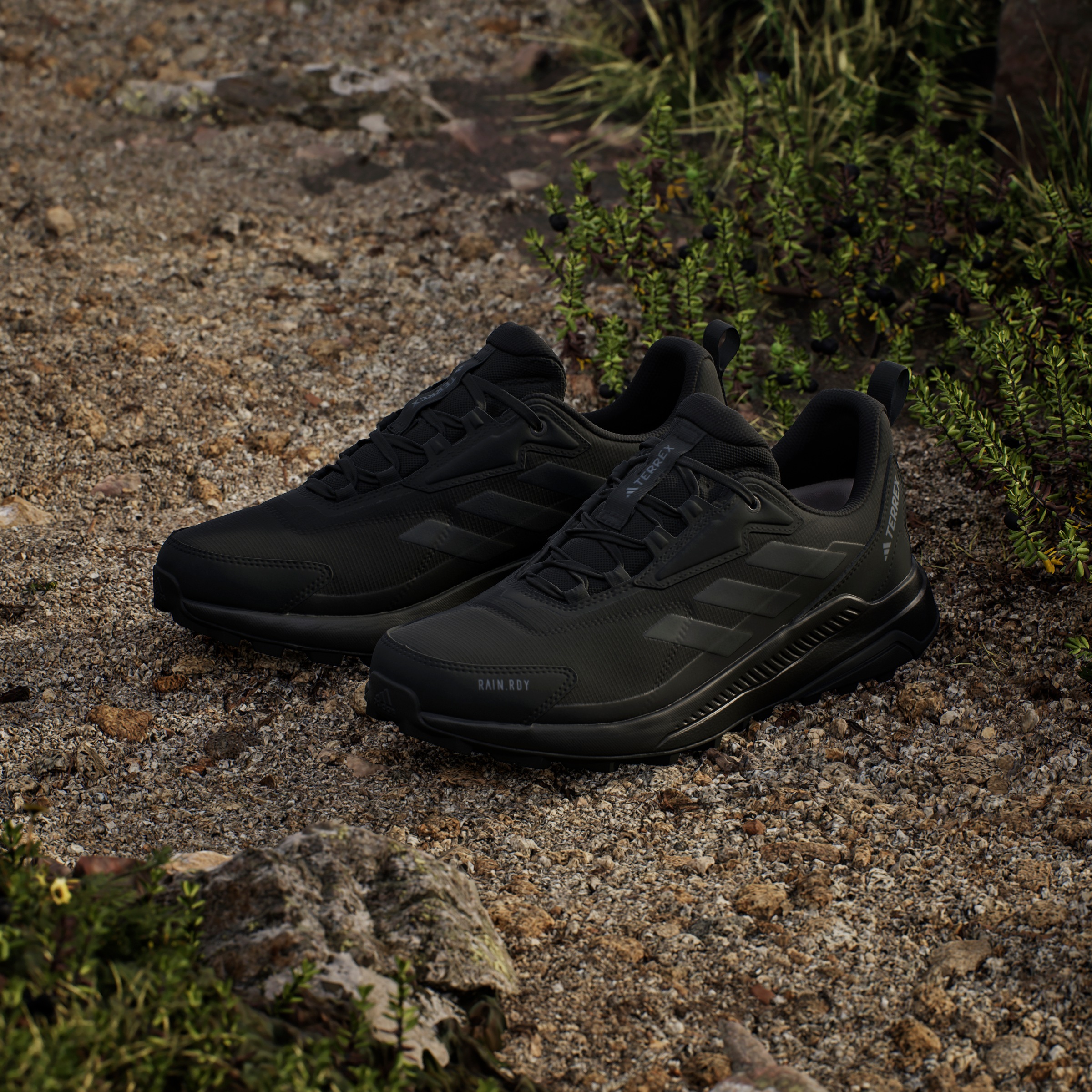 adidas TERREX Wanderschuh »TERREX ANYLANDER RAIN.RDY«, wasserdicht