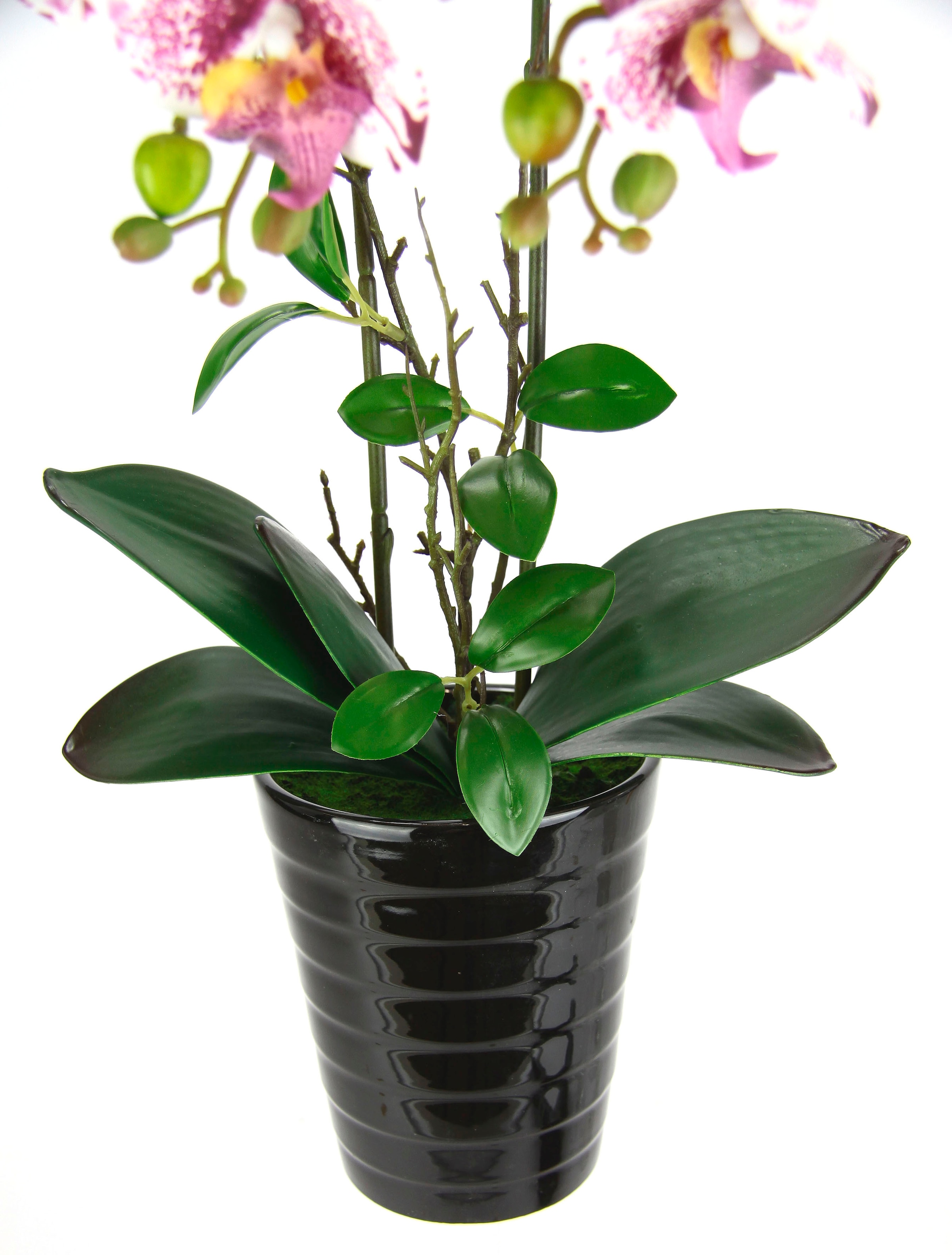 I.GE.A. Kunstblume »Orchidee«, Im Topf Phalaenopsis Orchidee Phalaenopsis mit Übertopf Hochzeit