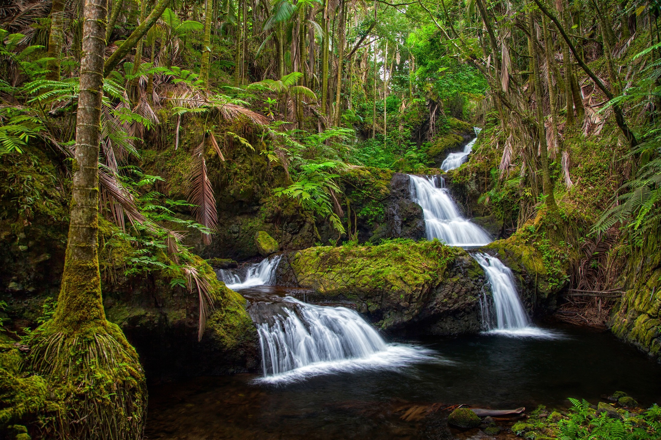 Image of Papermoon Fototapete "WASSERFALL-MAGISCHER WALD BÄUME FLUSS SEE STEINE BLUMEN"