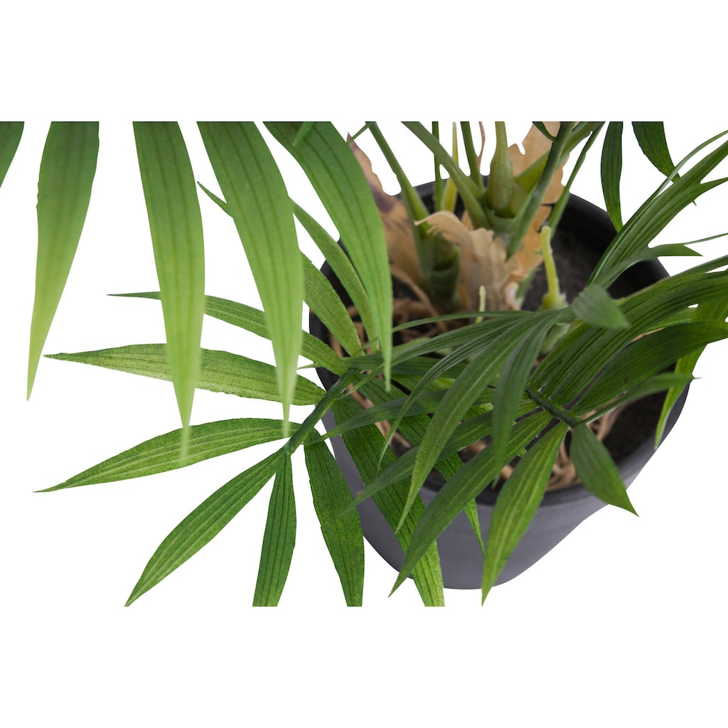 Botanic-Haus Künstliche Zimmerpflanze »Chamaedorea Palme«