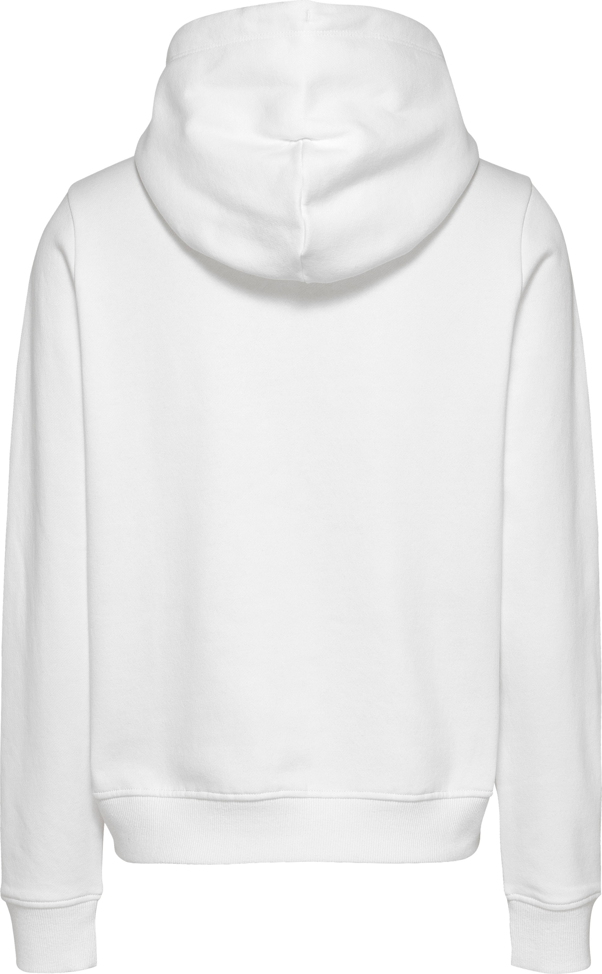 Tommy Jeans Kapuzensweatshirt »TJW REG LINEAR HOODIE«, mit Logoschriftzug