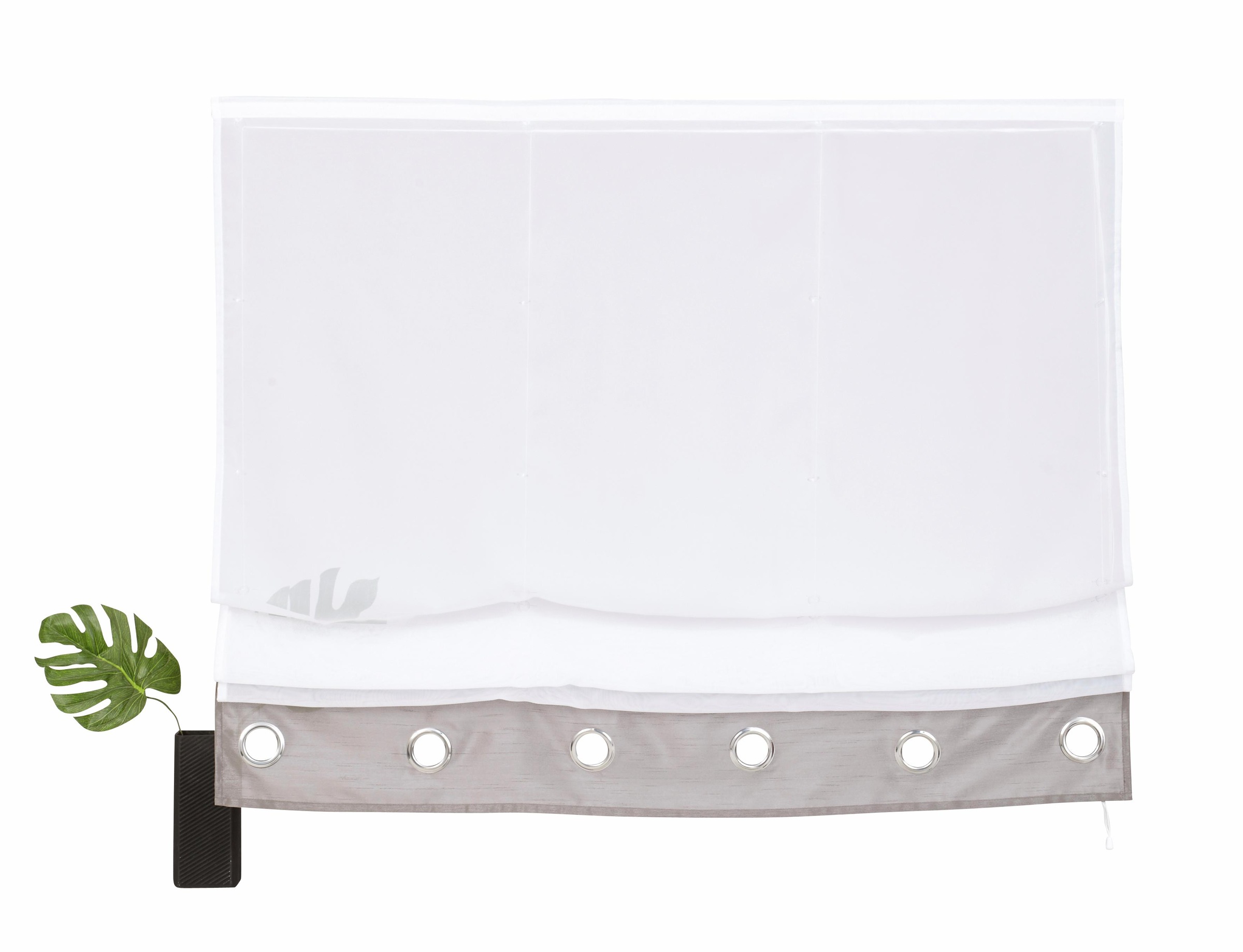 Image of my home Raffrollo »MARIA«, mit Klettband, transparent, Seidenoptik, gewebt, glatt bei Ackermann Versand Schweiz