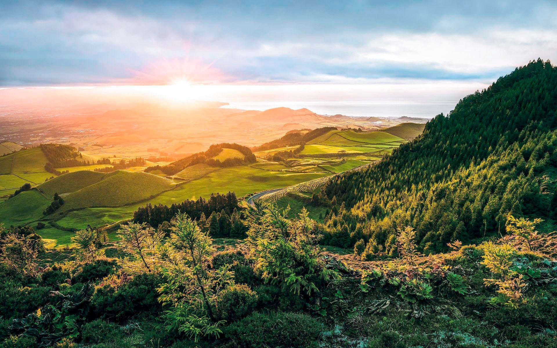 Image of Komar Vliestapete »Hefele Paradise Island«, naturalistisch bei Ackermann Versand Schweiz