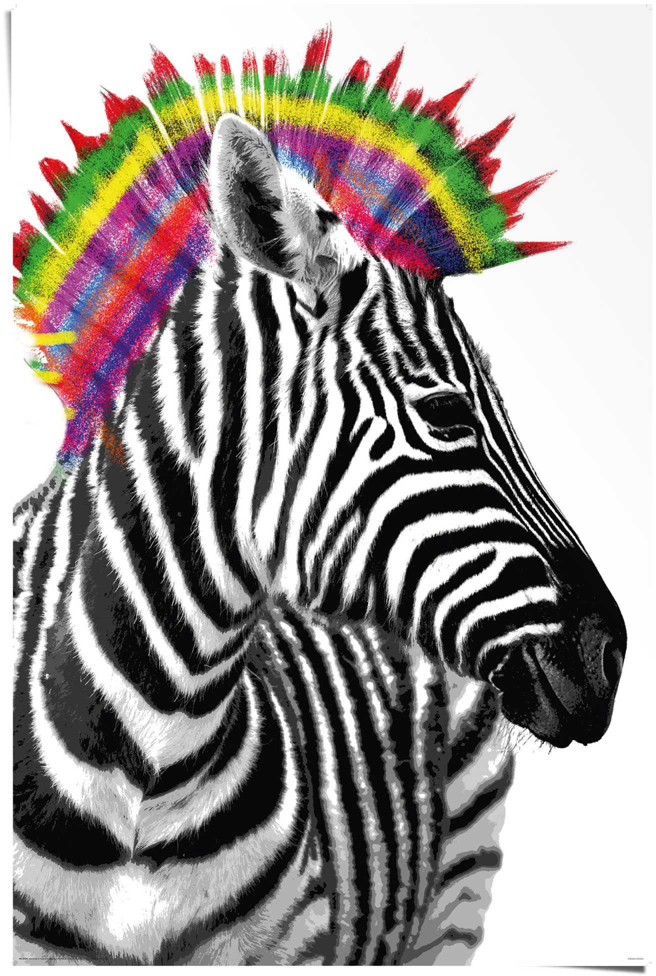 Image of Reinders! Poster »Zebra Punk«, (1 St.) bei Ackermann Versand Schweiz