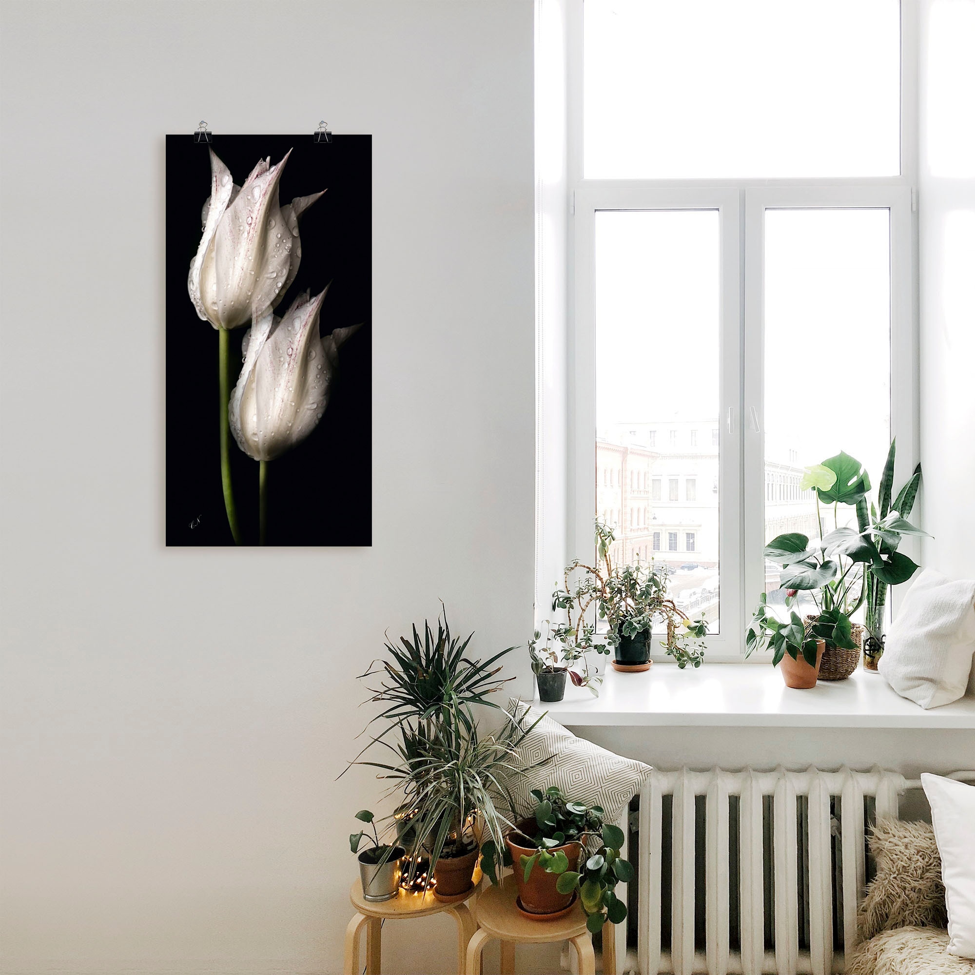 Artland Wandbild »Weisse Tulpen in der Nacht«, Blumenbilder, (1 St.), als Alubild, Outdoorbild, Leinwandbild, Poster, Wandaufkleber