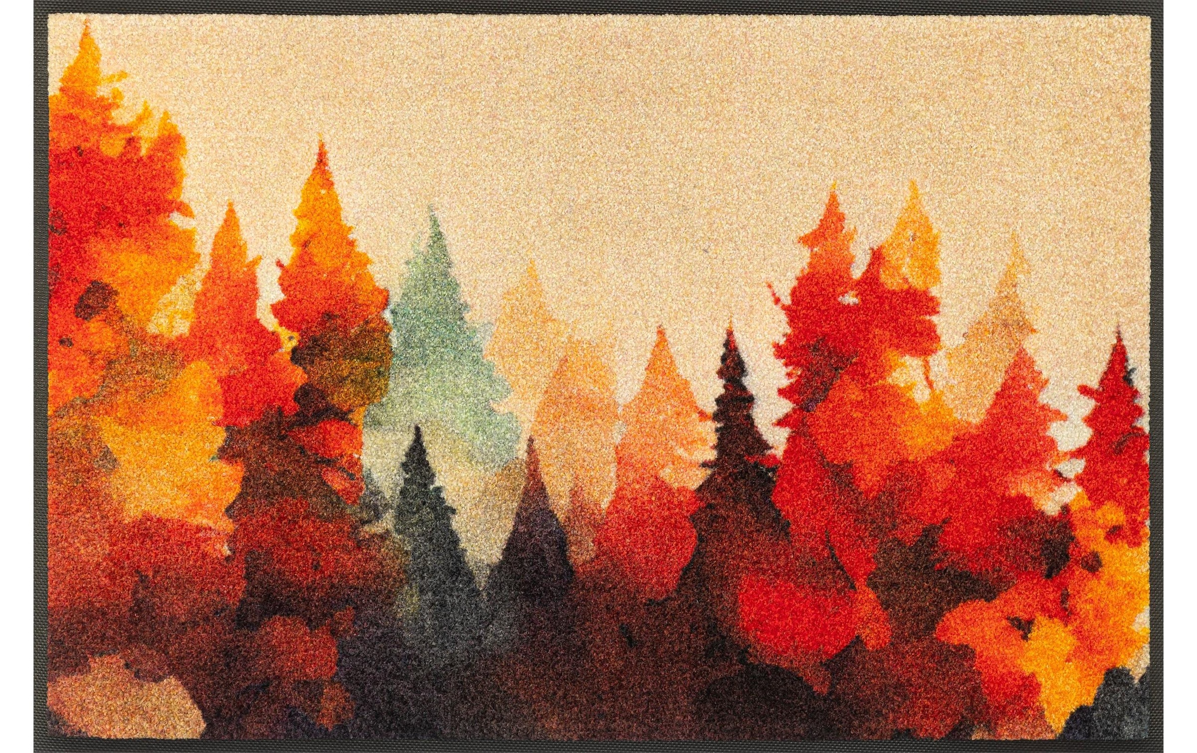 Image of wash+dry by Kleen-Tex Fussmatte "Golden Season 50 cm x 75 cm"