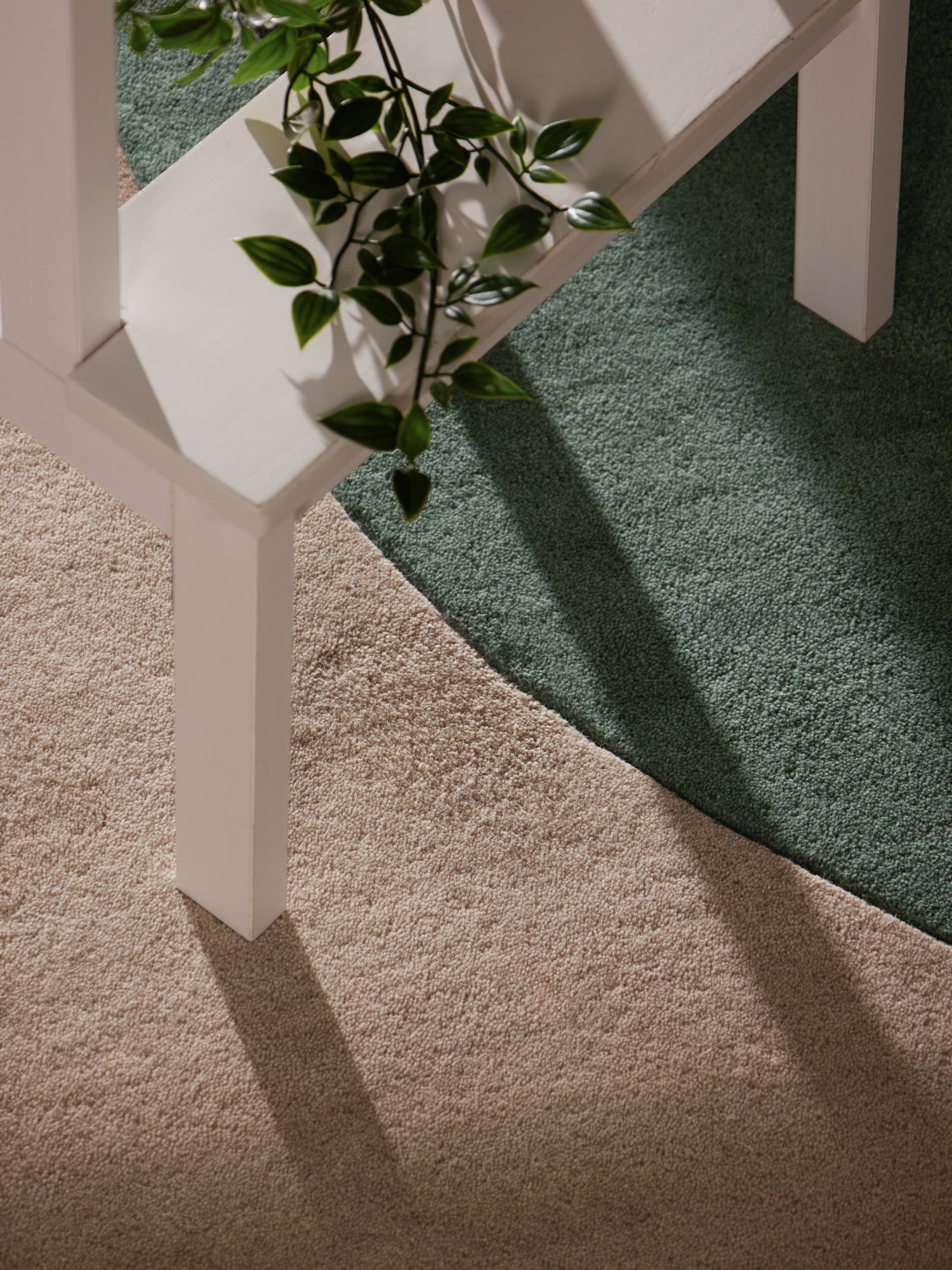 Ted Baker Tapis en laine »Cecil« Rectangulaire 17 mm Höhe Laine, tapis naturel, fait main, salon, chambre à coucher, coloré