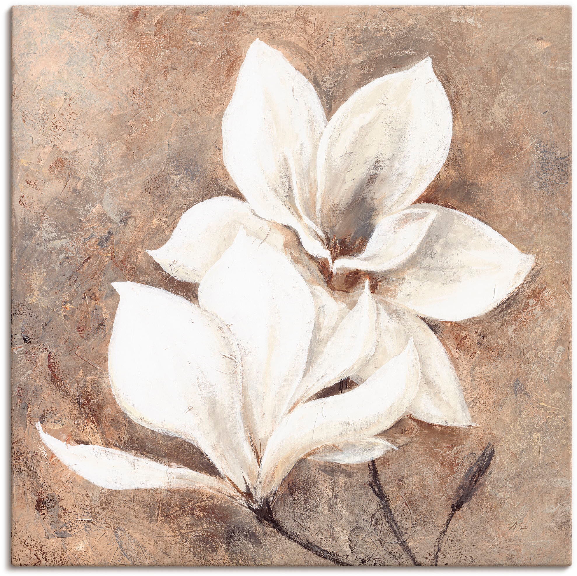Image of Artland Leinwandbild "Klassische Magnolien" Blumen 1 Stk. tlg. auf Holzrahmen gespannt