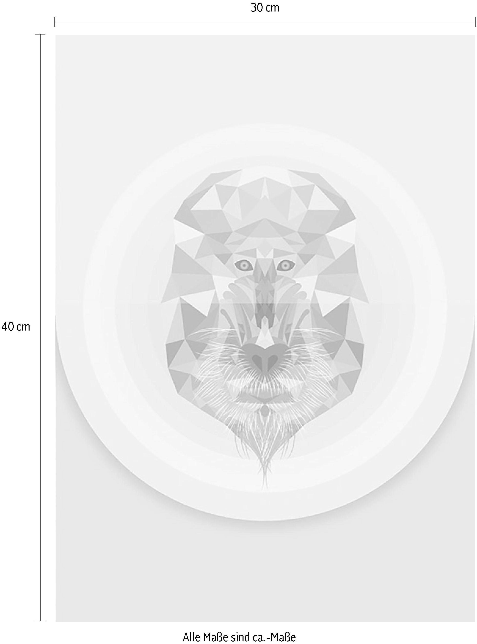 Komar Image »Baboon« 1 cuis tlg. Wandbild zur Dekoration - ohne Rahmen