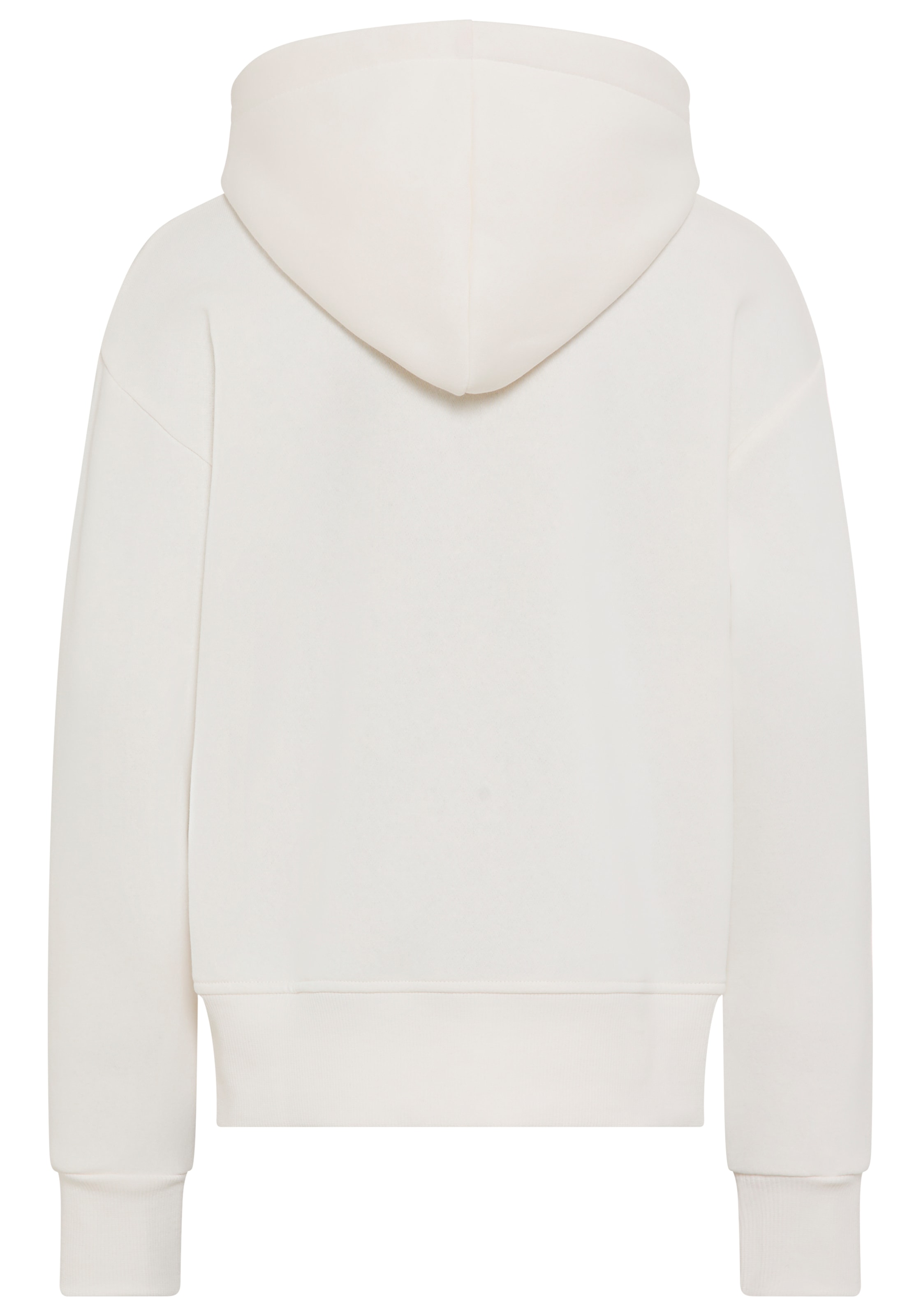 Levi's® Kids Kapuzensweatshirt »LVG BATWING PATCH HOODIE« mit Daumenloch