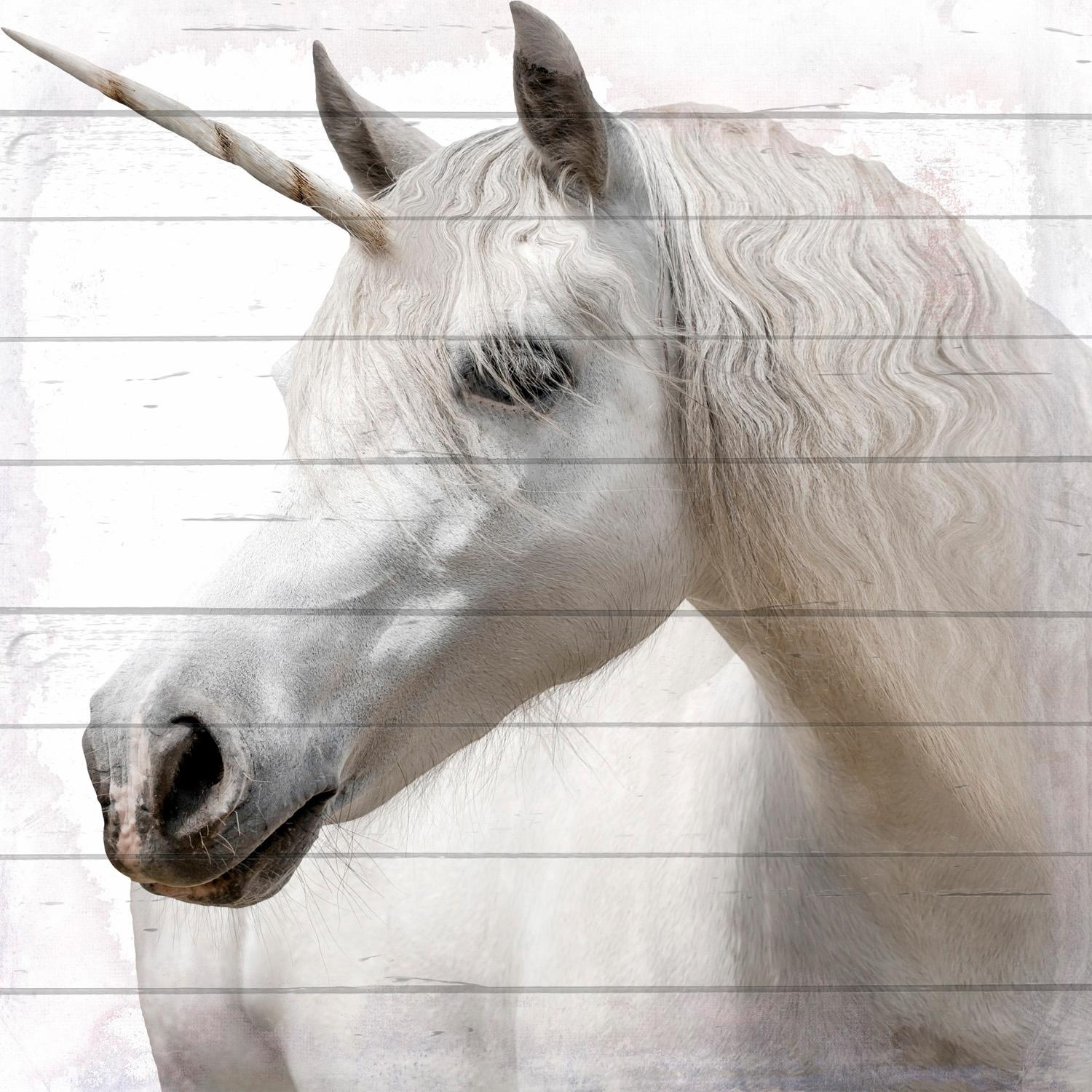 Image of Home affaire Holzbild »Einhorn/Pferd«, 40/40 cm bei Ackermann Versand Schweiz