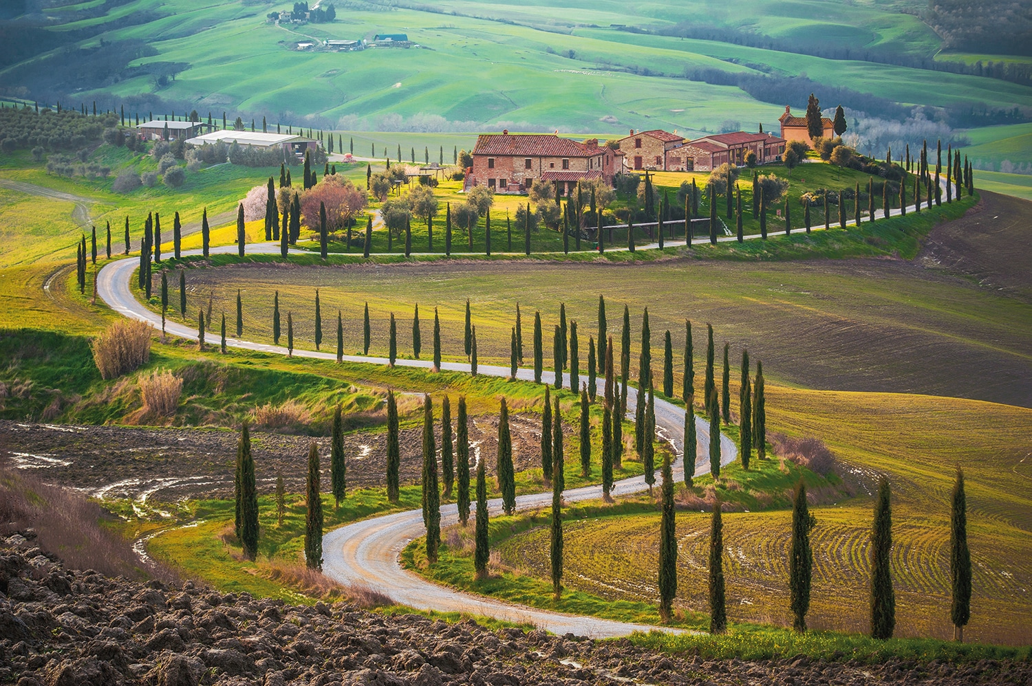 Image of Papermoon Fototapete "Fields in Tuscany" glatt