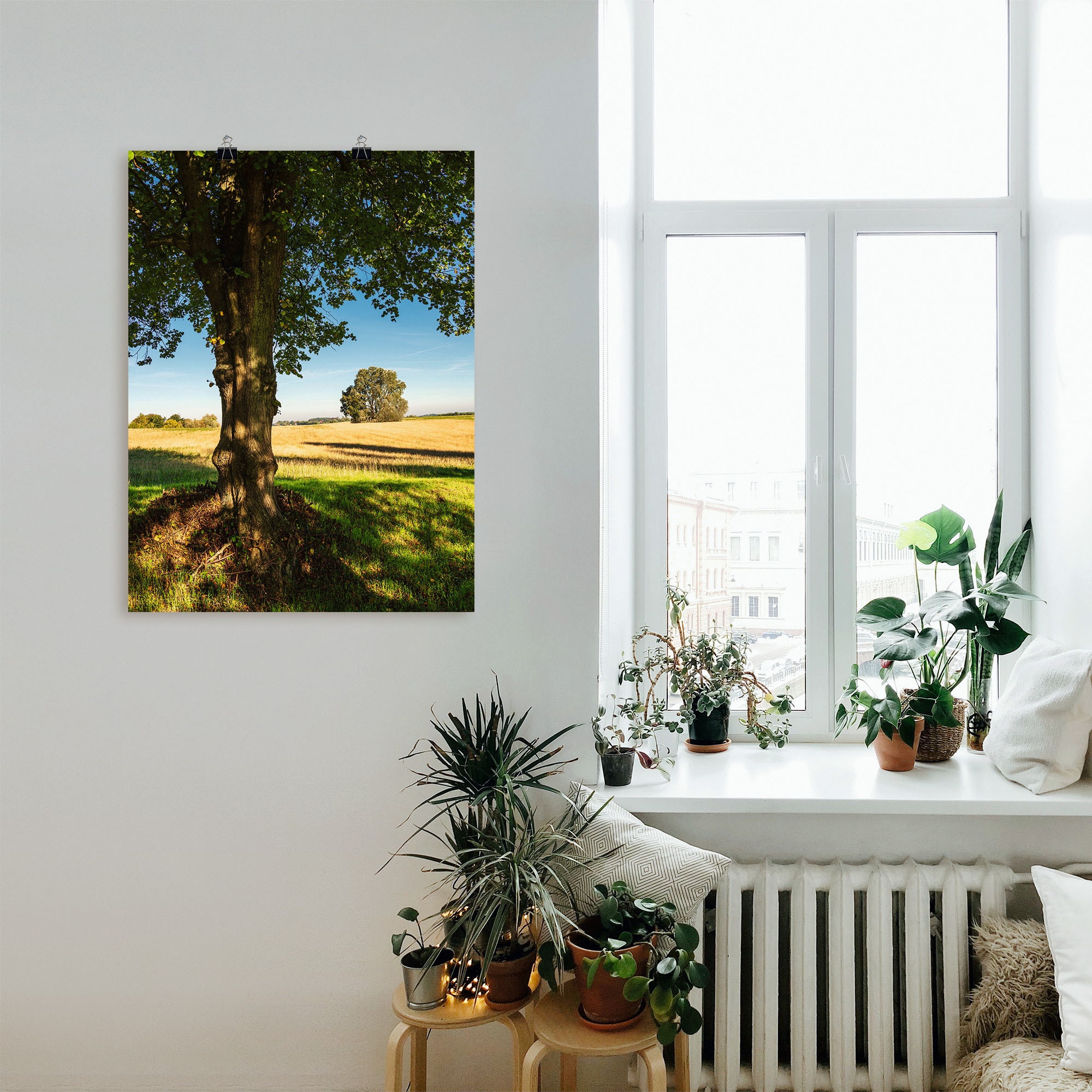 Artland Poster »Feld und Bäumen bei Hohen Demzin«, Felder, (1 St.), als Alubild, Leinwandbild, Wandaufkleber oder Poster in versch. Grössen