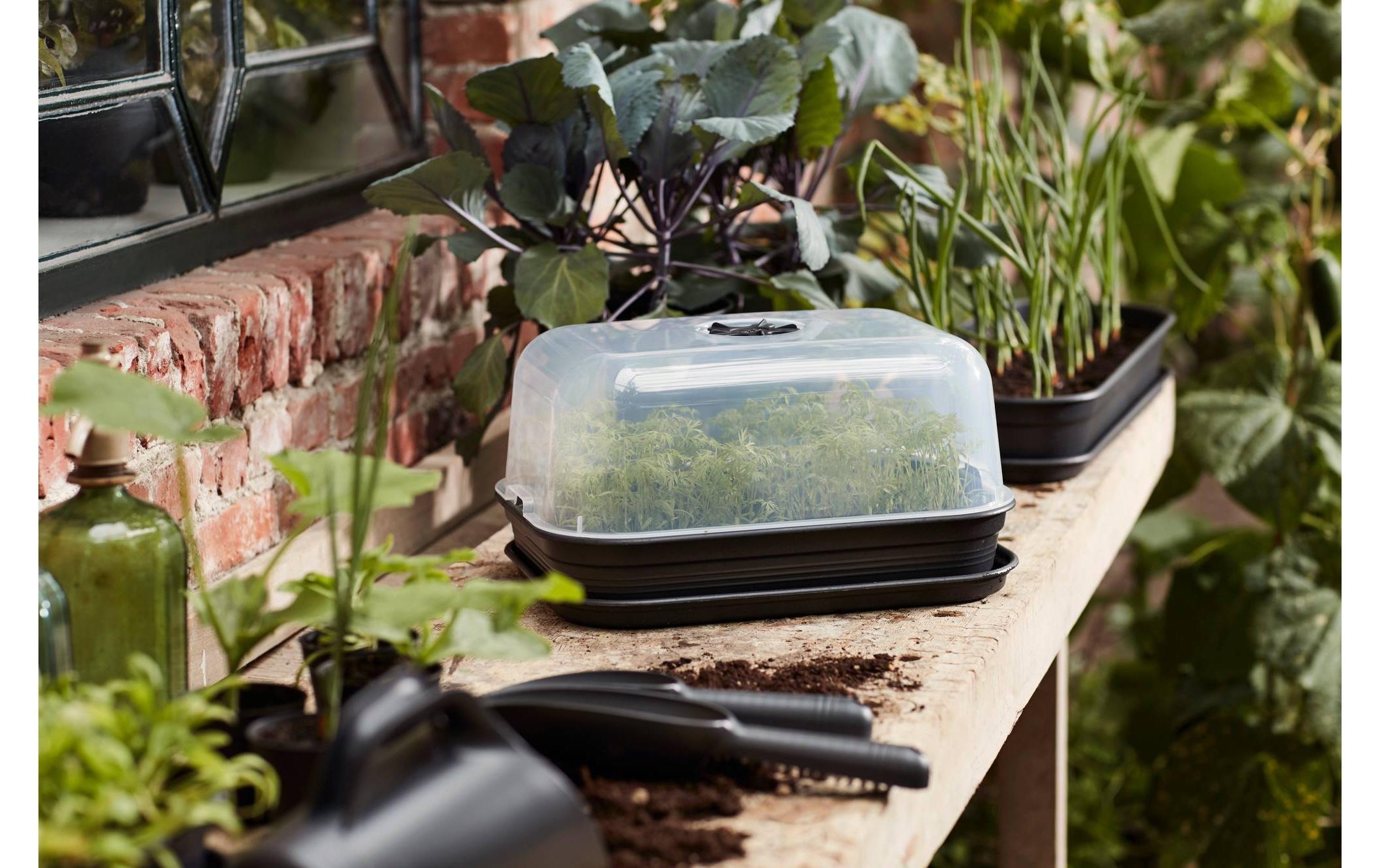 Elho Anzuchttopf »Anzuchtset M Green Basics«