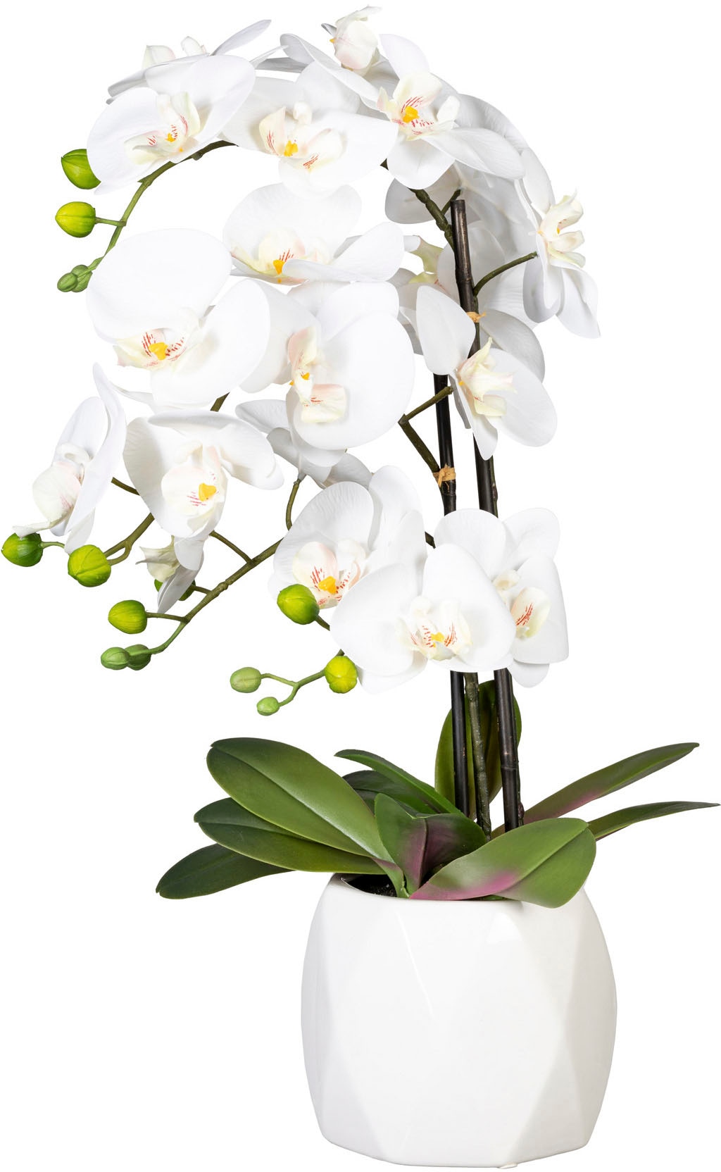 acheter confortablement green Creativ Kunstorchidee Keramiktopf« Phalaenopsis im »Deko-Orchidee