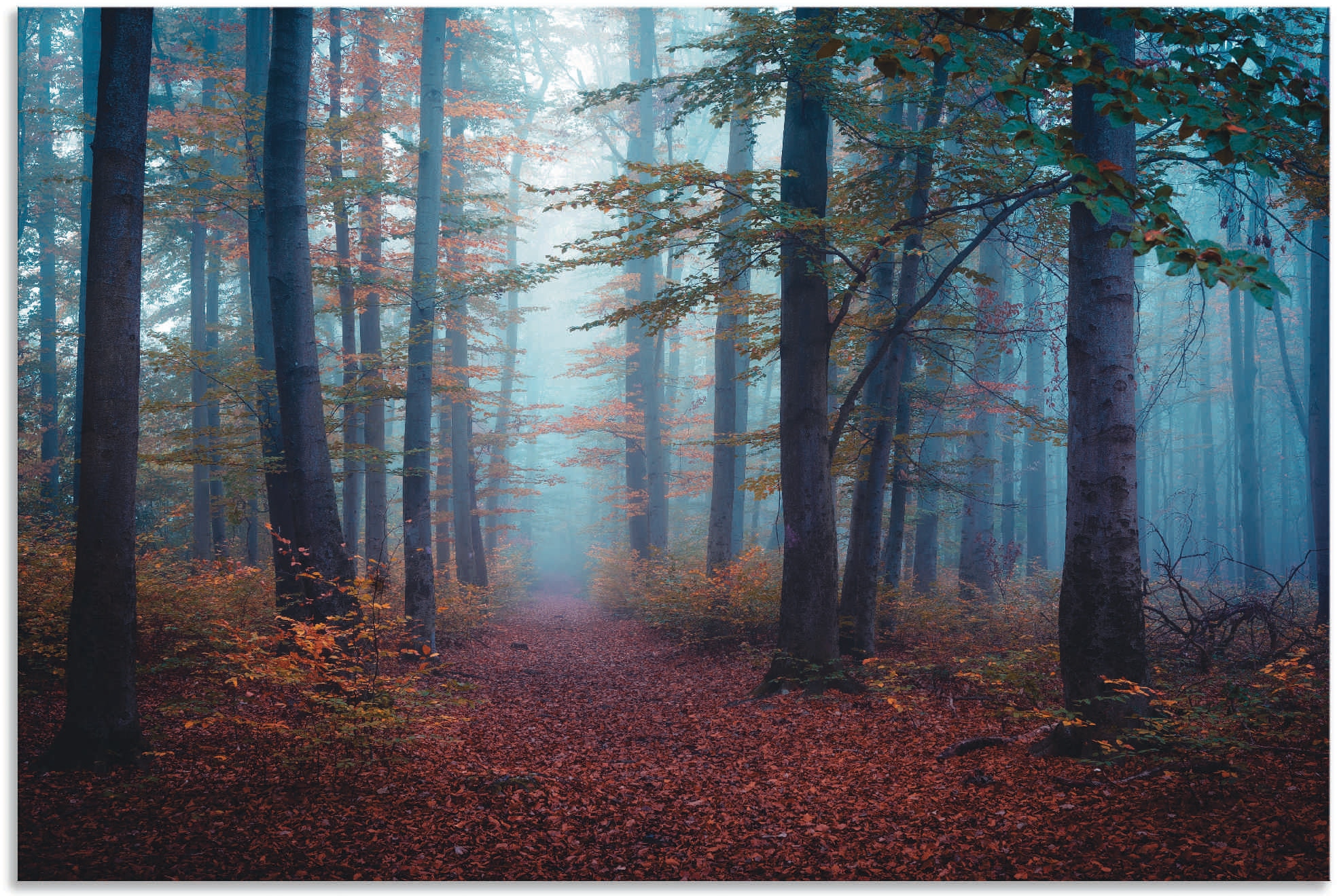 Image of Artland Alu-Dibond-Druck "Wald im Nebel" Waldbilder 1 Stk. tlg. als Alubild in verschied. Grössen