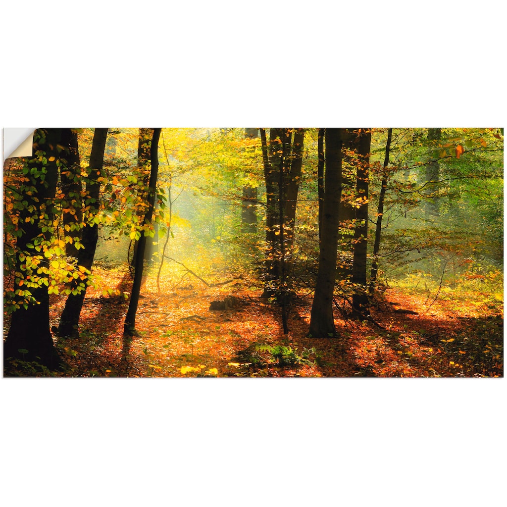 Artland Wandbild »Herbstlicht im Wald«, Wald, (1 St.)