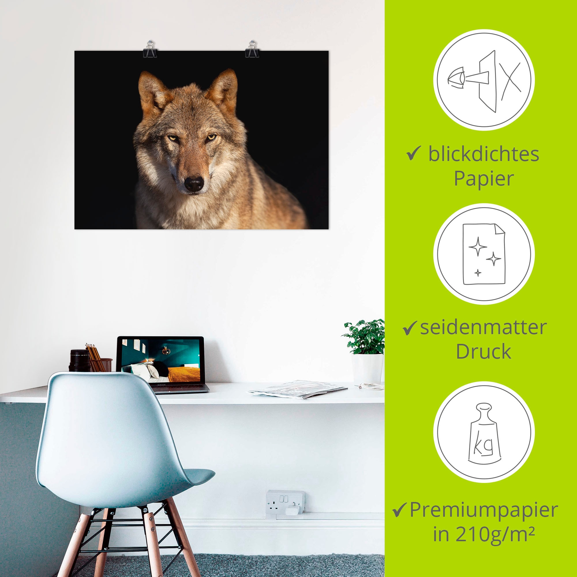 Artland Poster »Wolf« Wildtiere 1 Stk. tlg. ohne Rahmen