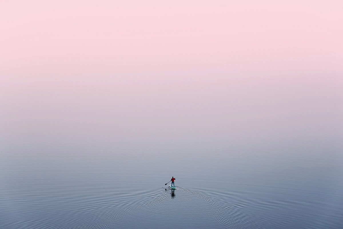 Image of Papermoon Fototapete "Ente im Wasser"
