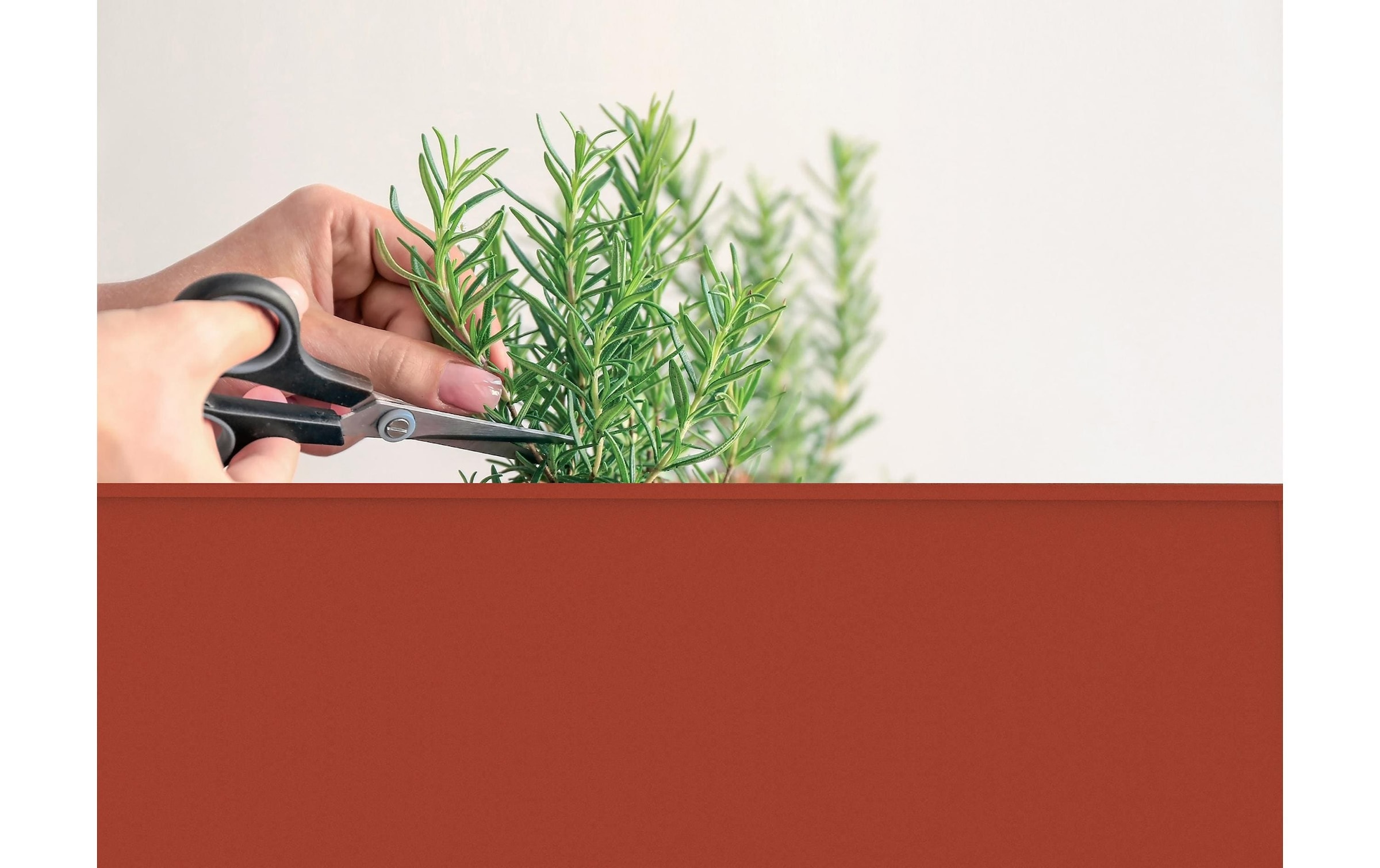 Herstera Garden Hochbeet »Urban« BxTxH: 75x35x80 cm