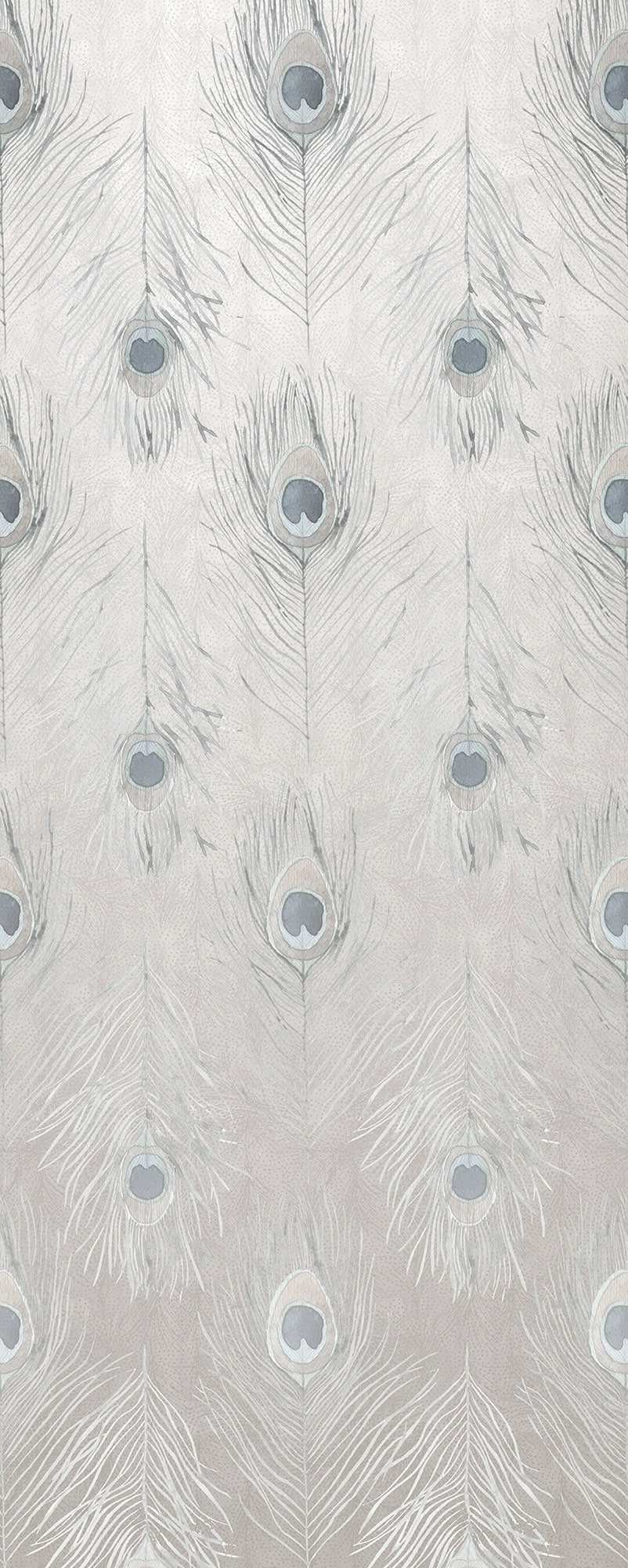 Komar Fototapete »Vlies Fototapete - Pfauenfedern - Grösse 100 x 250 cm« Motiv | bedruckt glatt