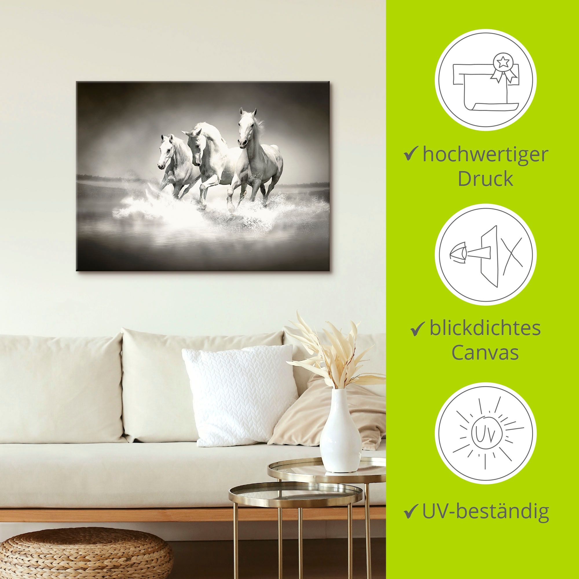 Artland Leinwandbild »Herde von weissen Pferden« Haustiere 1 Stk. tlg. auf Keilrahmen gespannt