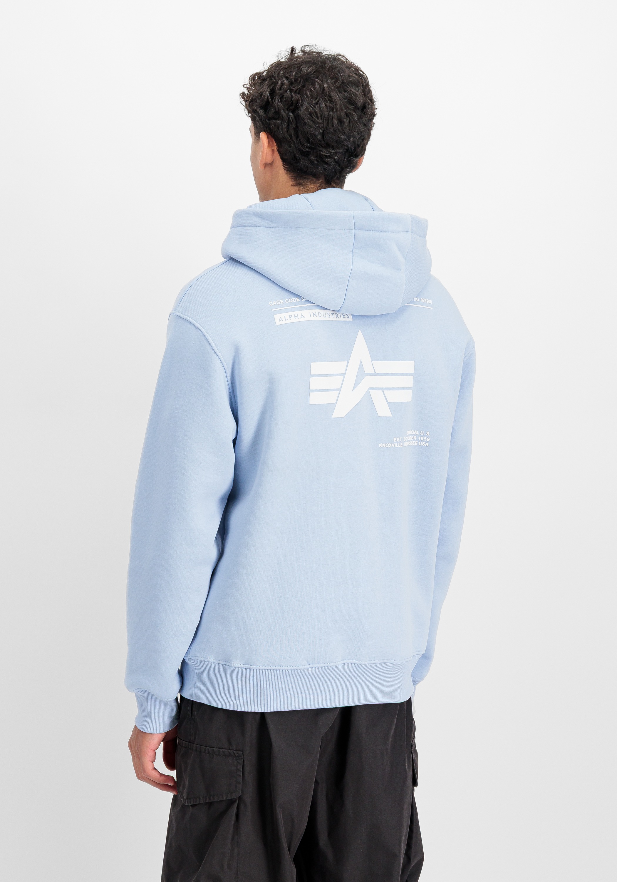 Alpha Industries Hoodie »Label Backprint Hoodie«
