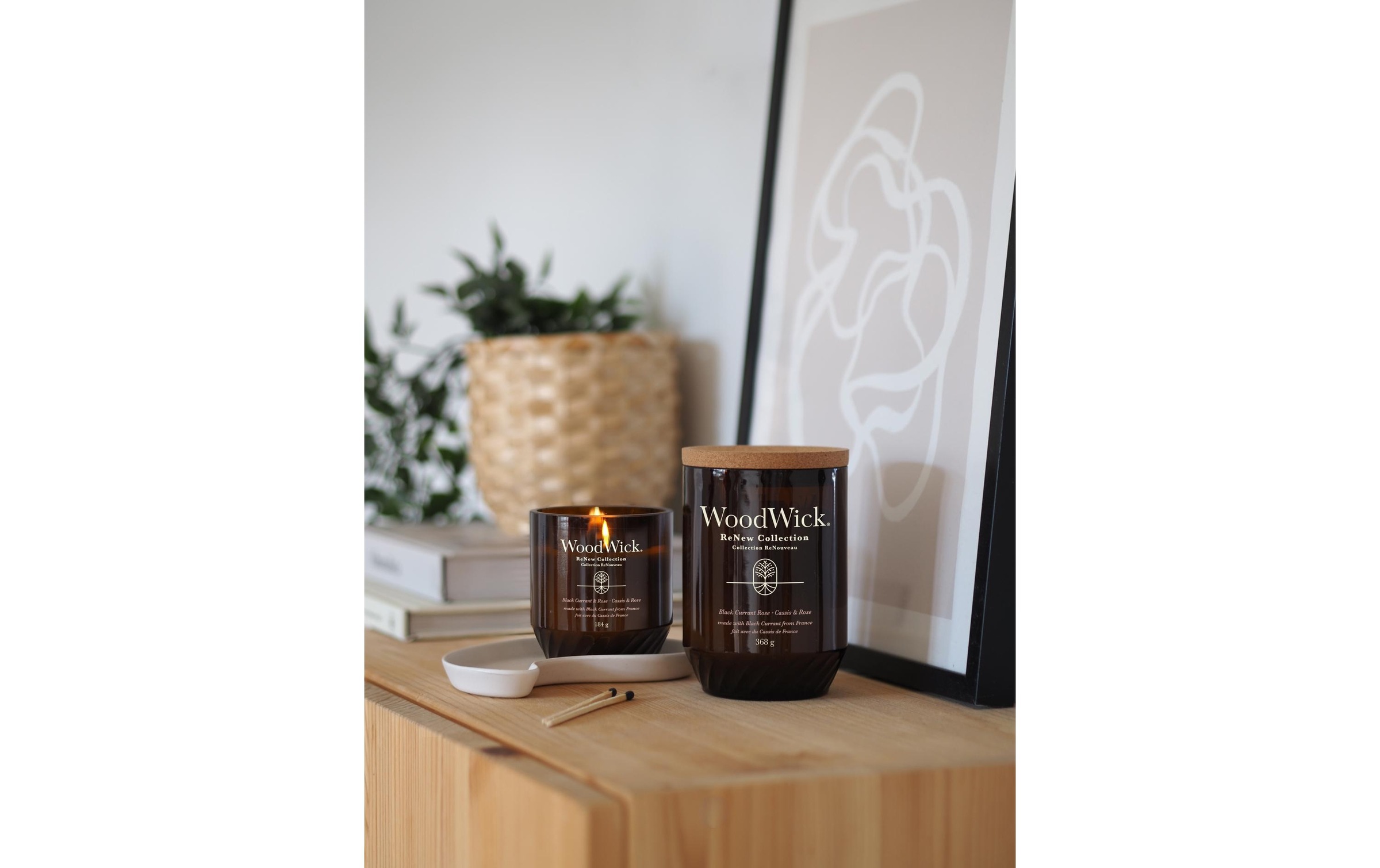 Renew WoodWick Black Currant & Rose Kerze mittel