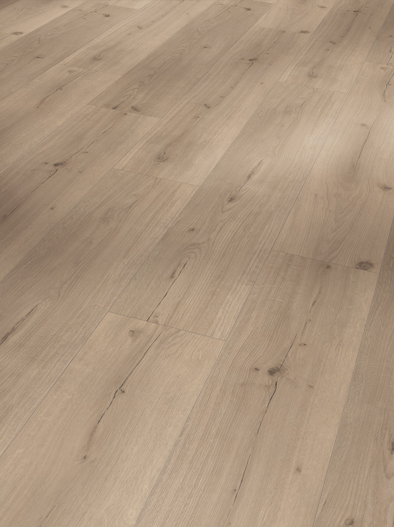 Image of PARADOR Vinylboden »Basic 5.3 Eiche Infinity Grau«, (Set), lebhafte Struktur, 4-seitig gefast, 2,18 m² bei Ackermann Versand Schweiz
