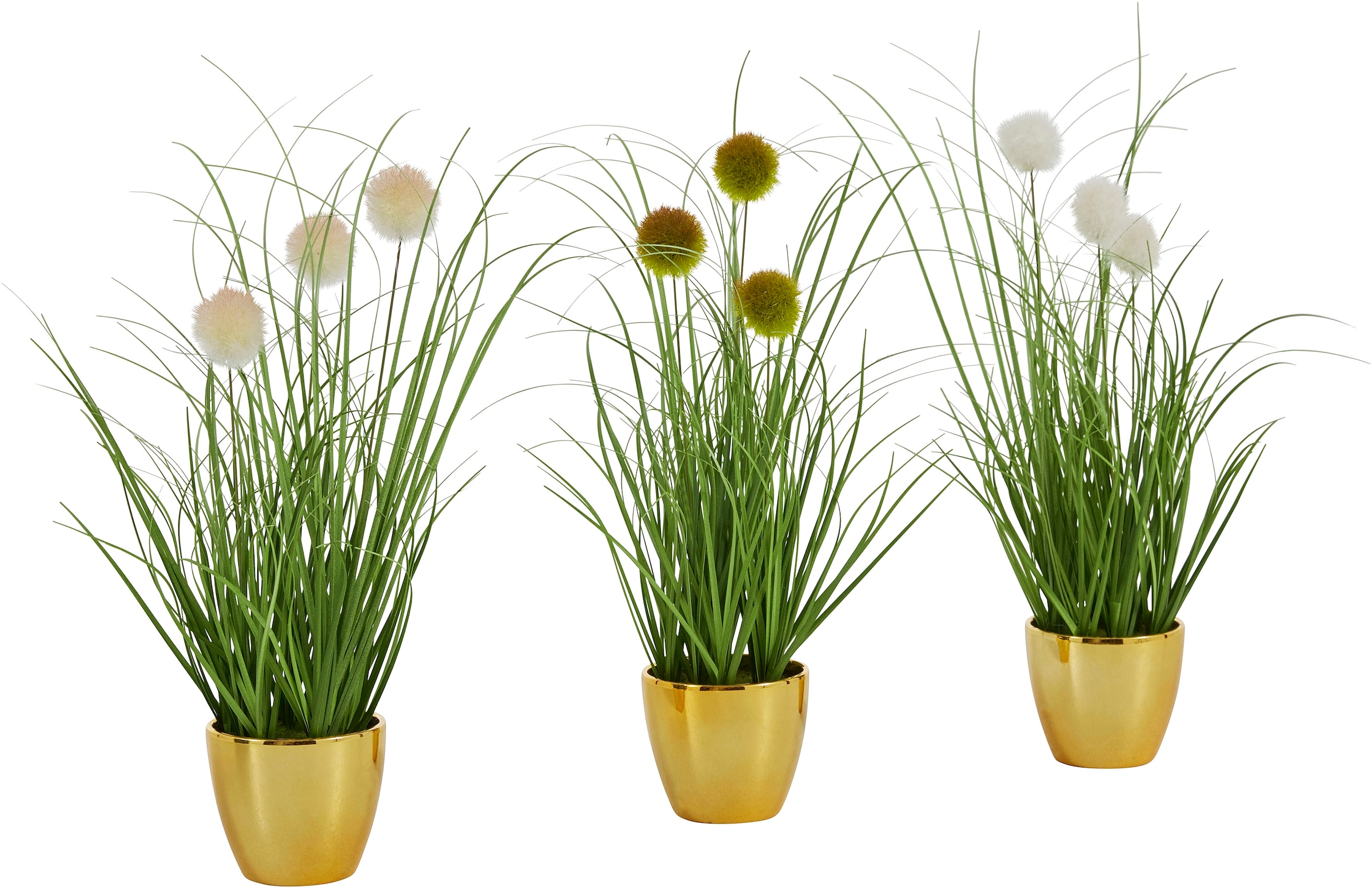 Leonique Kunstgras »Grasbusch mit Kletten«, Kunstpflanze, Gras, im Topf,  3er-Set bequem kaufen