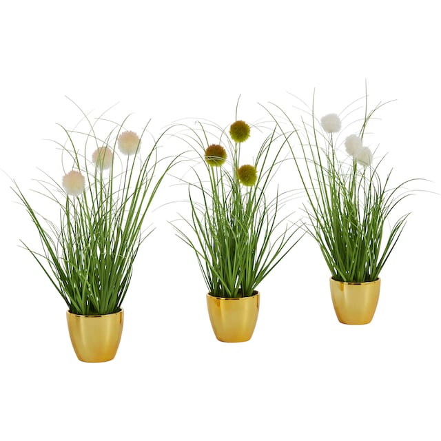 Leonique Kunstgras »Grasbusch mit Kletten«, Kunstpflanze, Gras, im Topf,  3er-Set bequem kaufen