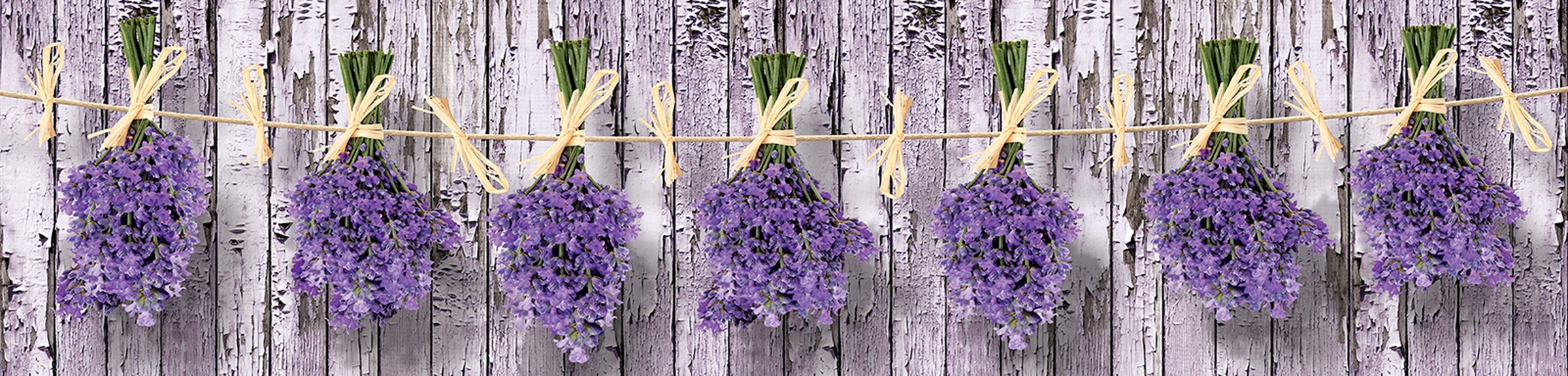 Image of Consalnet Vliestapete »BLUMEN«, grafisch, 250 x 60 cm bei Ackermann Versand Schweiz