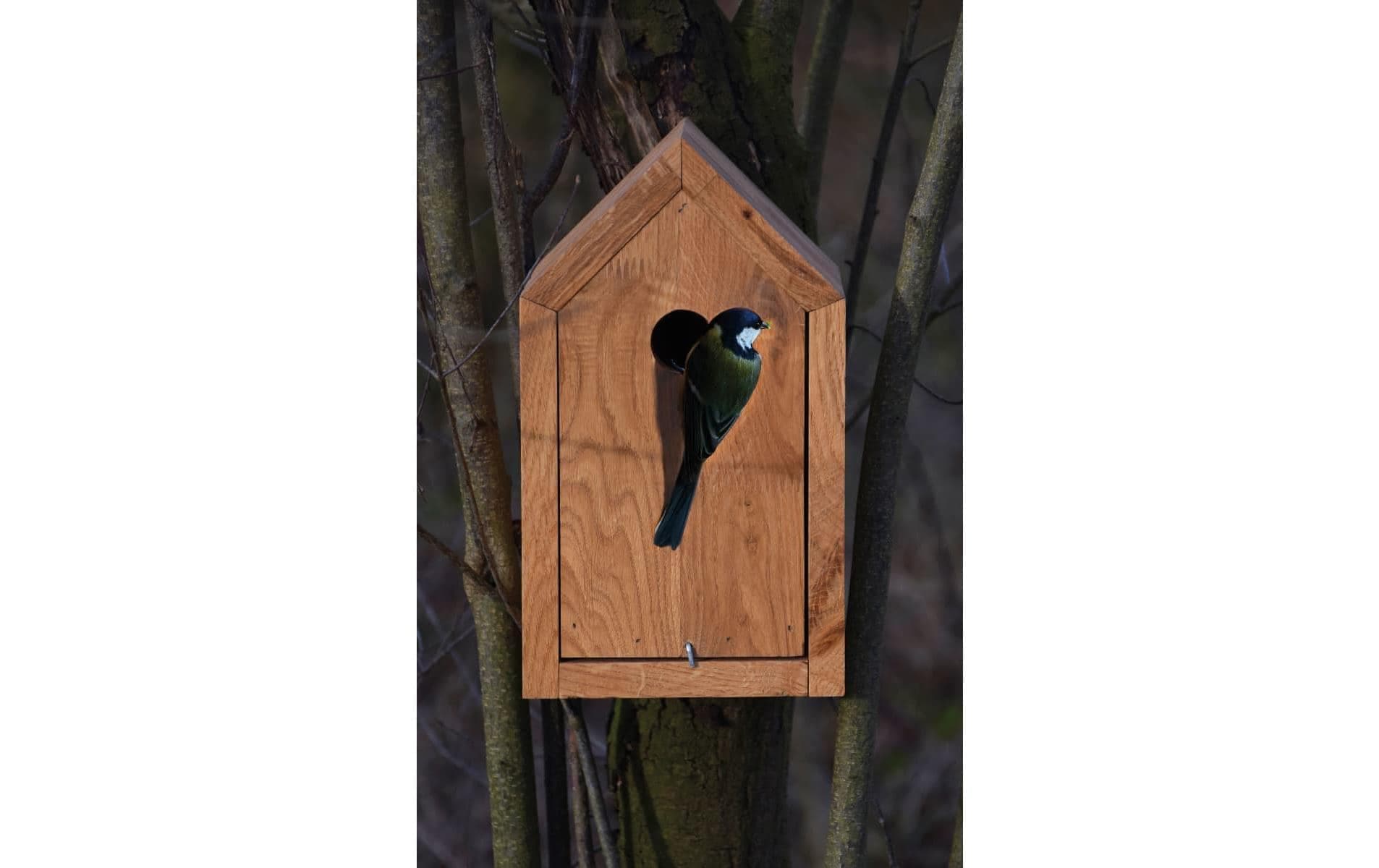 dobar green label Nistkasten »green label Design«, Holzart: Eiche (Europa)