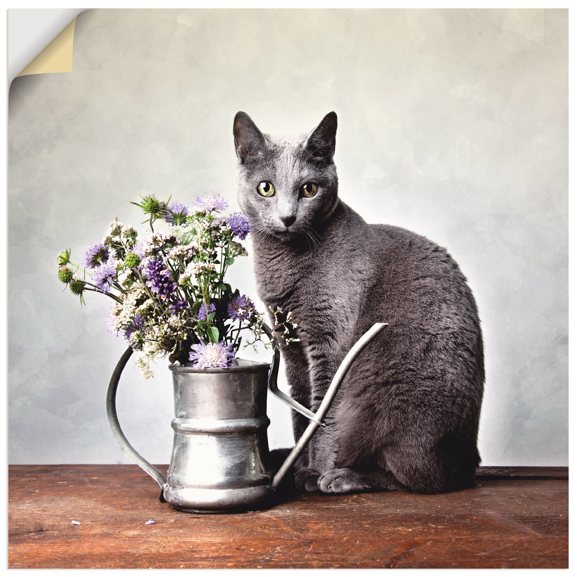 Image of Artland Wandbild »Katze mit Deko«, Haustiere, (1 St.) bei Ackermann Versand Schweiz