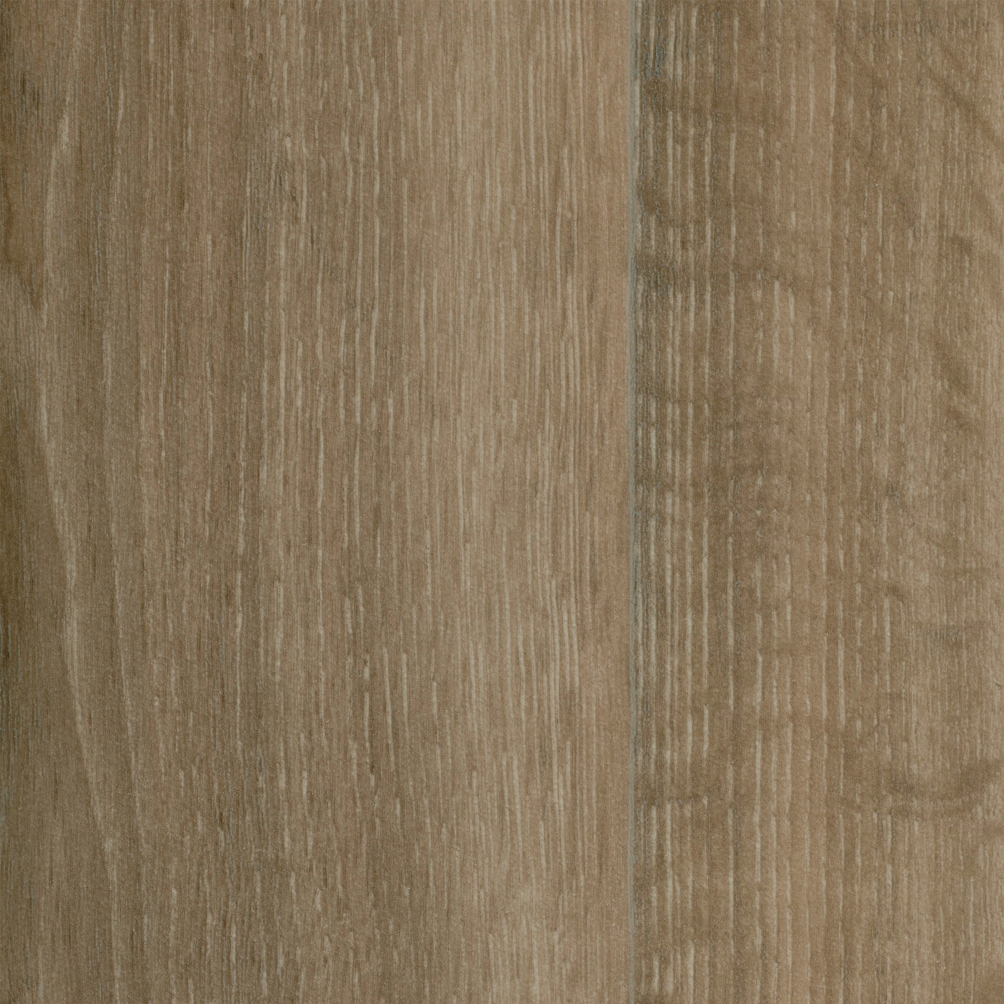 Image of Bodenmeister Vinylboden »PVC Bodenbelag Holzoptik Diele Eiche hell-grau rustikal«, Meterware, Breite 300/400 cm bei Ackermann Versand Schweiz